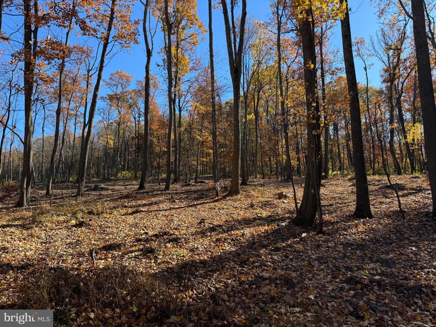 Welcome to your future mountain retreat in Western Loudoun County! This 2.53 acre building lot on the beautiful Short Hill Mountain lot boasts sweeping, hard-to-find views and total privacy.  Long-range elevated views of The Valley make this lot perfect for a custom home, investment build, or a multitude of other possibilities under AR1 zoning. Properties with this combination of terrain, access, and scenery are extremely limited. The lot features mature timber, natural contours for multiple potential homesites, and the peace and seclusion for a premium build location. Adjacent parcels are available as well.