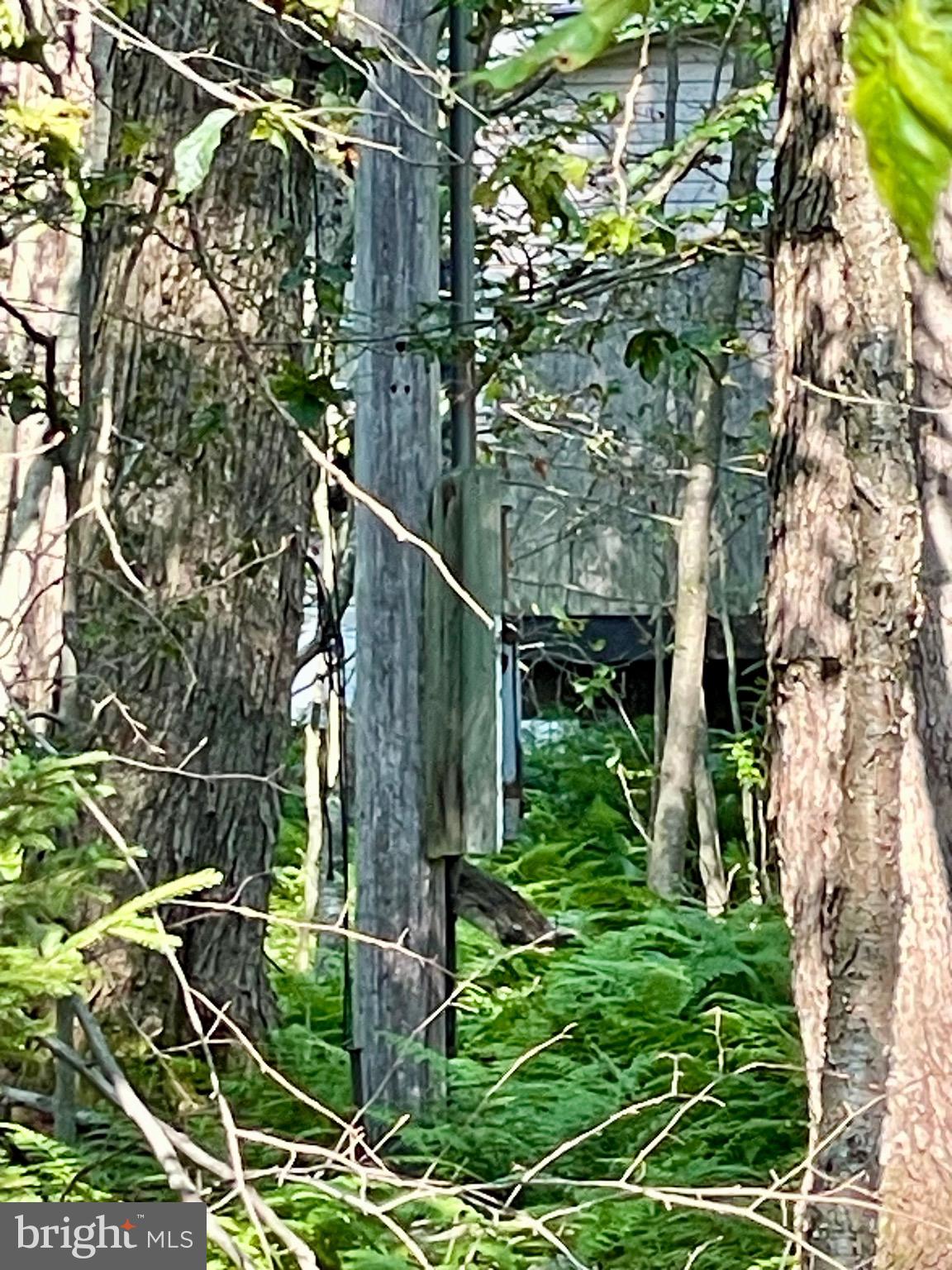 INDIAN COUNTRY - Land