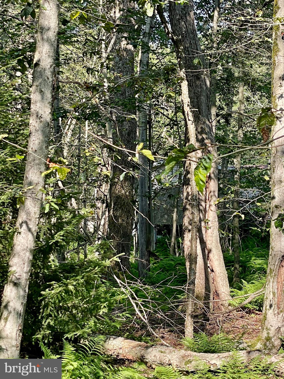 INDIAN COUNTRY - Land