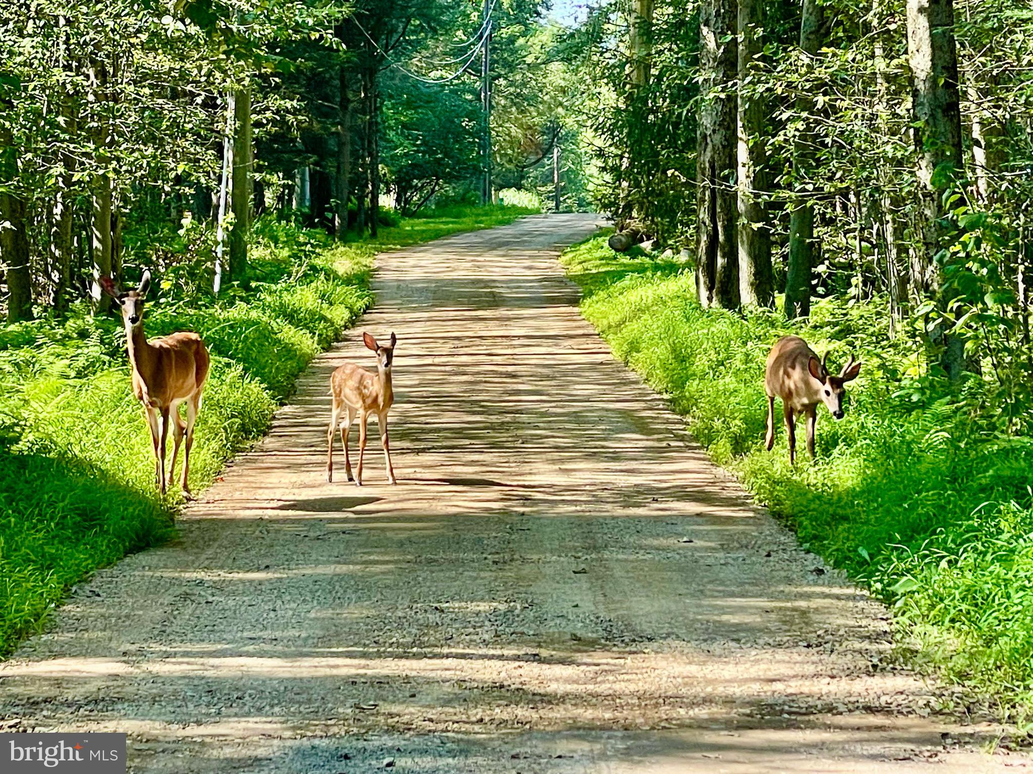 INDIAN COUNTRY - Land
