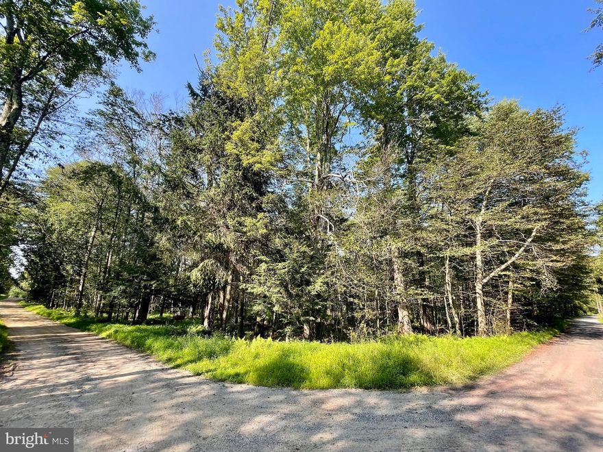 Welcome to your perfect Pocono escape! This level, corner lot spans 0.53 acres and offers the ideal blend of flexibility, comfort, and adventure. Whether you're ready to park your RV or break ground on your dream home, this property is ready for you. Fully set up for recreational use! This lot is ready to go with an electric meter box and breaker panel—just plug in and relax. A driveway and cleared open space are already in place. Enjoy the convenience of seasonal water hookup access, a community RV dump station, and the rare perk of a year-round bathhouse. Everything you need for an easy, comfortable escape! Take a golf cart ride to enjoy the community's amenities: Outdoor swimming pool, Stocked fishing lake, Playground, Basketball court and Clubhouse. Located just 15 minutes from Gouldsboro State Park and 25 minutes from Lake Wallenpaupack, you're surrounded by endless opportunities for outdoor fun. Not into RV life? That's okay! This versatile parcel is also an excellent site to build your custom Pocono home. Whether you're envisioning a tiny home, mobile/manufactured home, or a traditional stick-built residence, the choice is yours. Create the retreat that suits your lifestyle in a peaceful, amenity-rich setting. Nestled in Indian Country, a peaceful, amenity-filled community, this lot offers both tranquility and access to recreation. Note: Short-term rentals are not permitted in this community—preserving the quiet, residential charm for years of lasting memories. Whether you're dreaming of relaxing weekends under the stars or planting roots in a vibrant, nature-rich area, this property delivers. Don't miss your chance to own a slice of the Poconos—schedule your visit today!