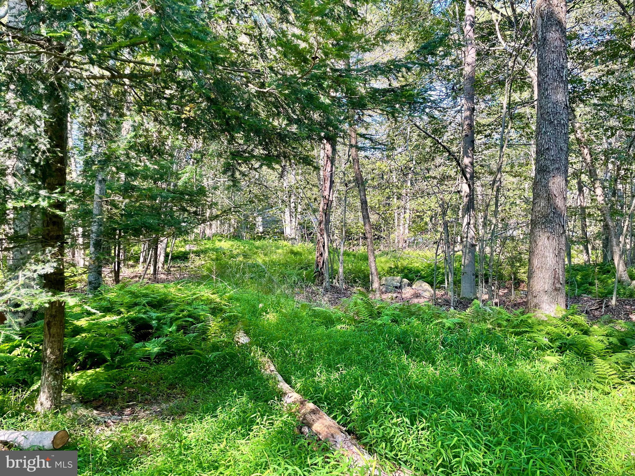 INDIAN COUNTRY - Land