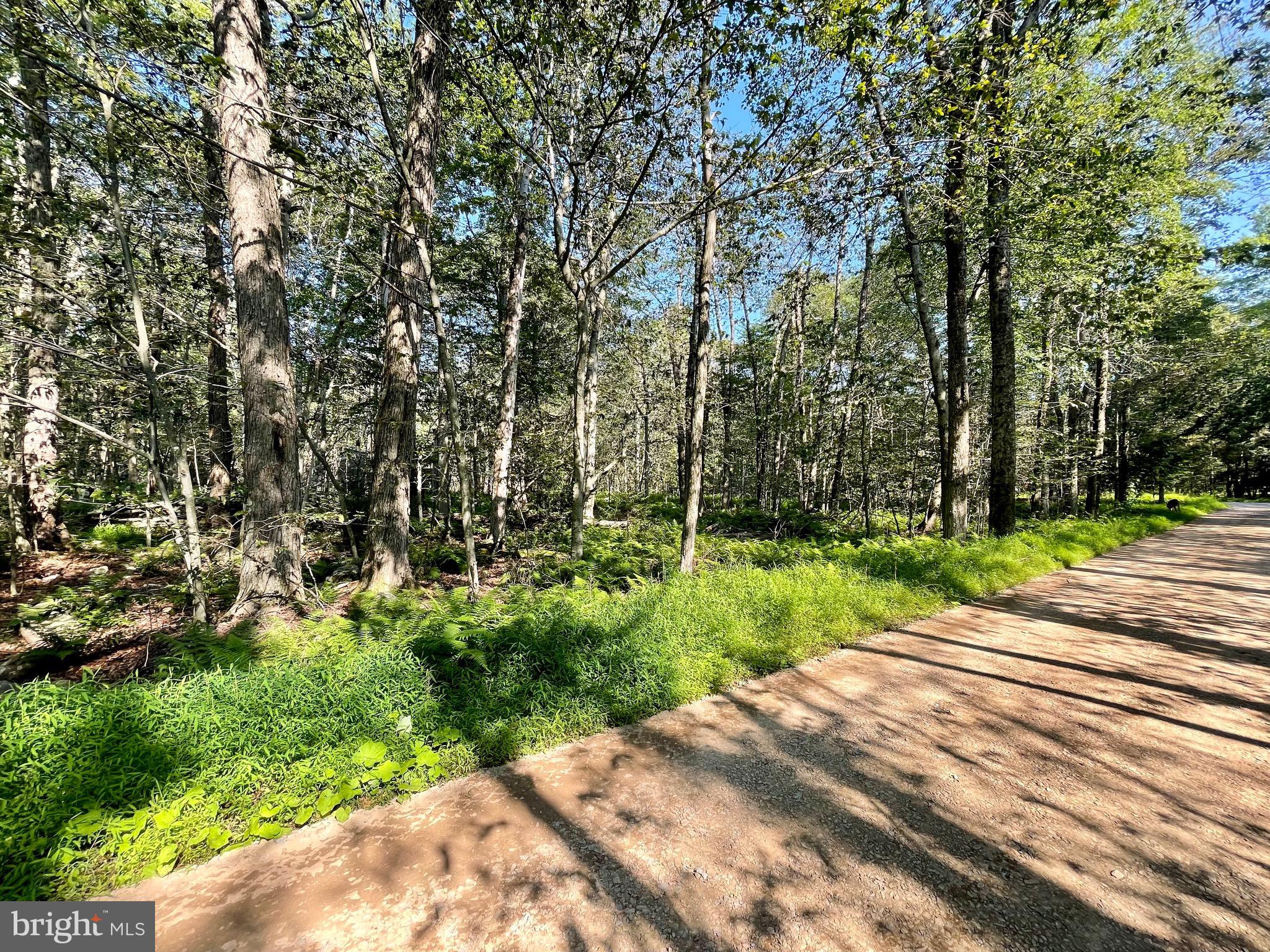 INDIAN COUNTRY - Land