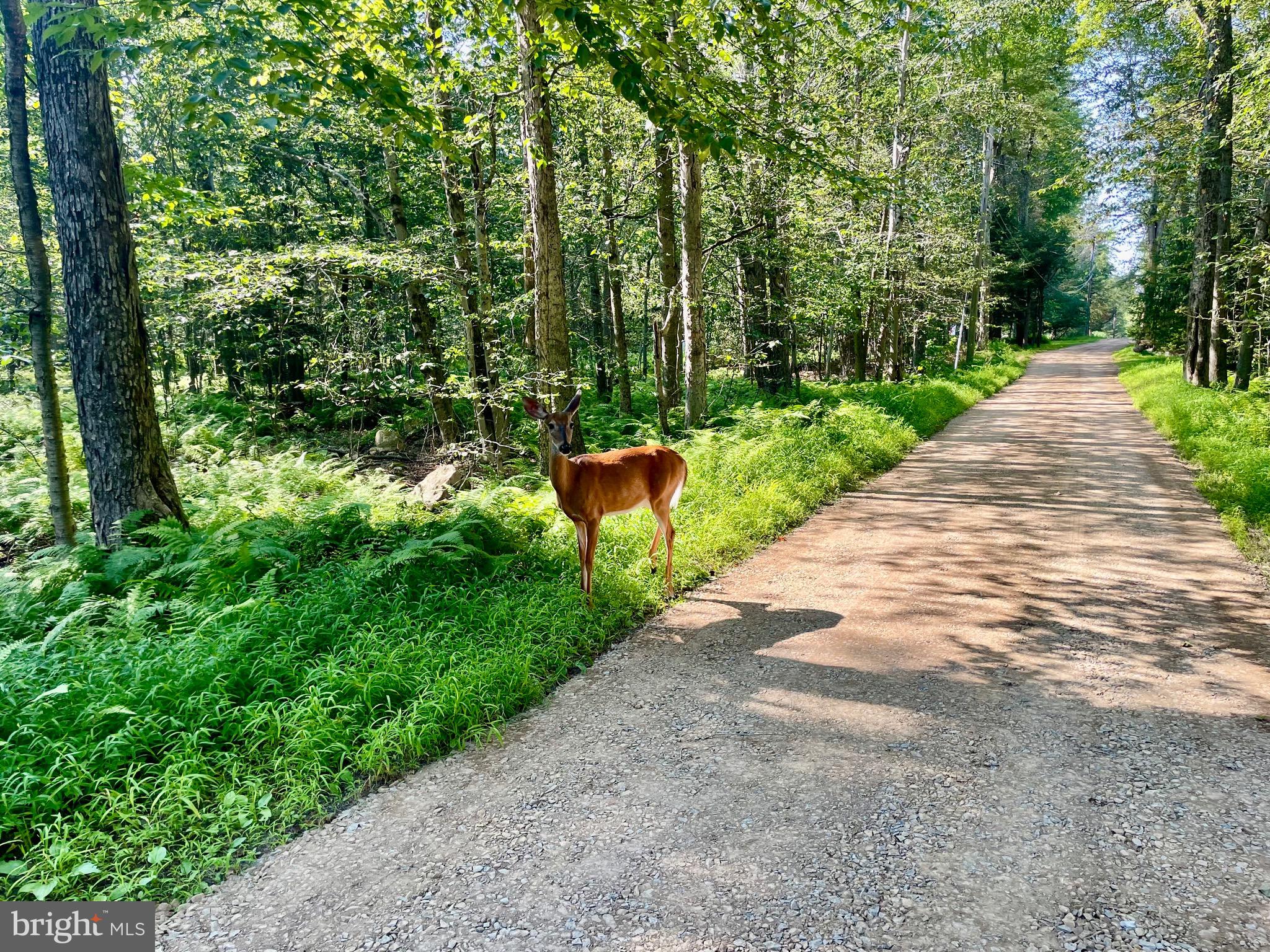 INDIAN COUNTRY - Land