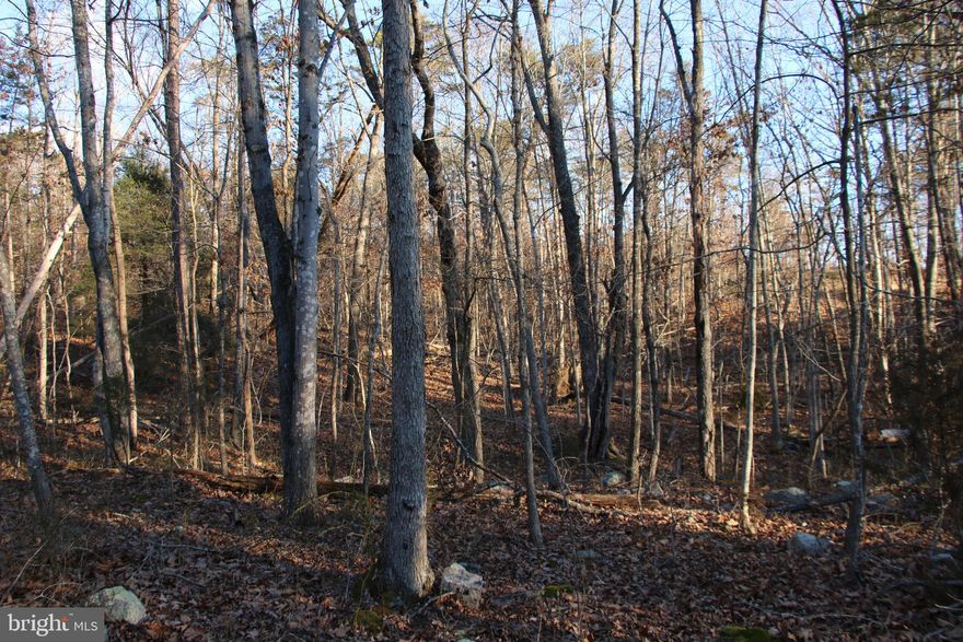 Conveniently located just a few miles west of Shenandoah at the base of First Mountain. This premier lot is part of the Shipwreck Farms Community and access is secured by road frontage on Lookout Drive. Ownership in this community includes access to all the fun and adventure the Shenandoah River has to offer. This prime lot is zoned Residential and is near the expansive George Washington National Forest. With end of the road privacy and seclusion this would make a terrific location for your next country home or vacation rental. Utilities are nearby making for affordable connections. Fully wooded parcel with a good mix of hardwood and softwood trees. Enjoy hiking, camping, and recreation of all types on this lot. The topography is gently sloping and builder friendly.

Seller is in the process of acquiring a septic certification letter.