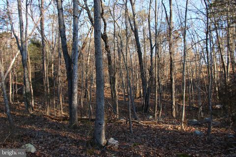 Vacant Land For Sale - Lookout Drive<br/> SHENANDOAH, VA 22849