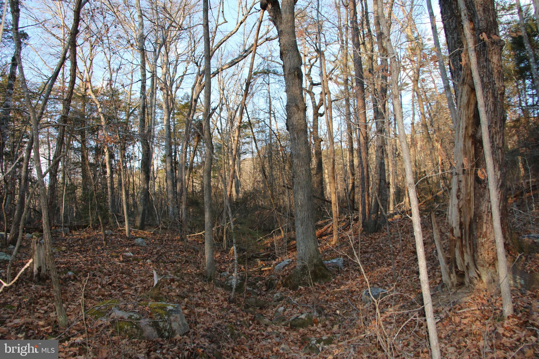 SHIPWRECK FARM - Land