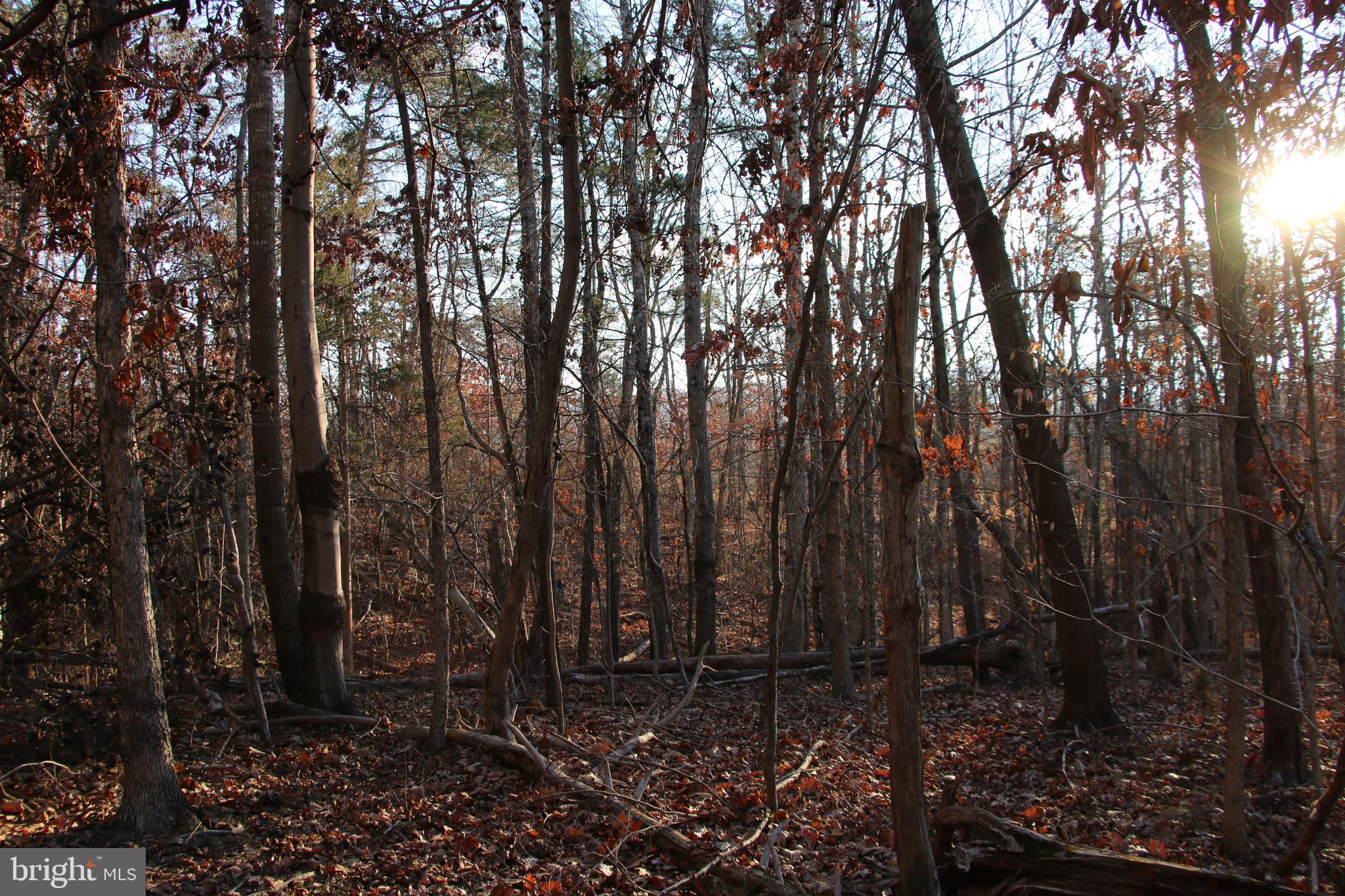 SHIPWRECK FARM - Land