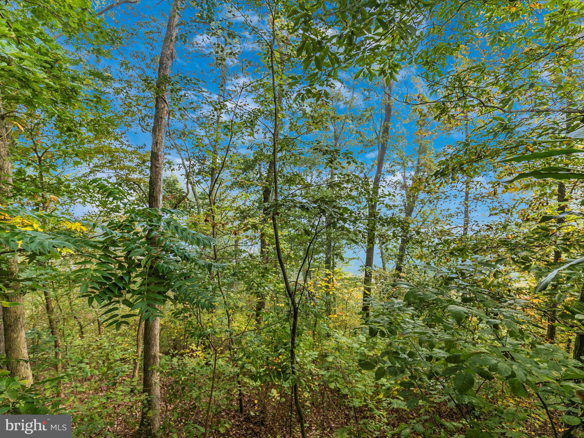 RIVER VIEW - Residential