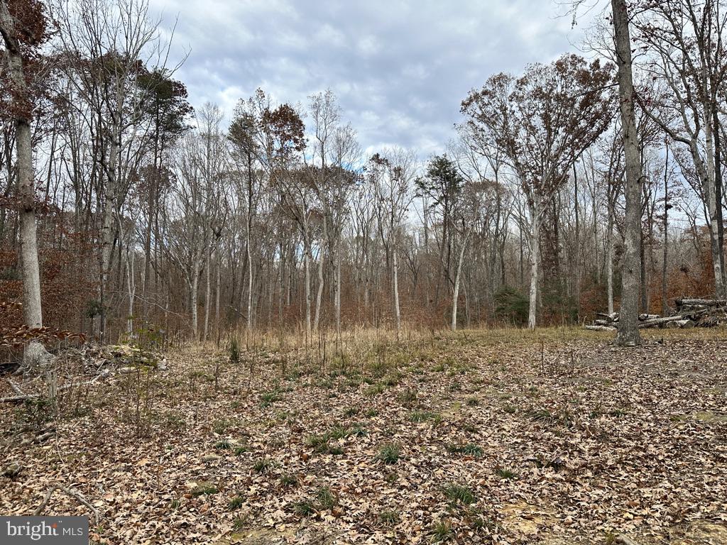 14409 SPOTSWOOD FURNACE ROAD