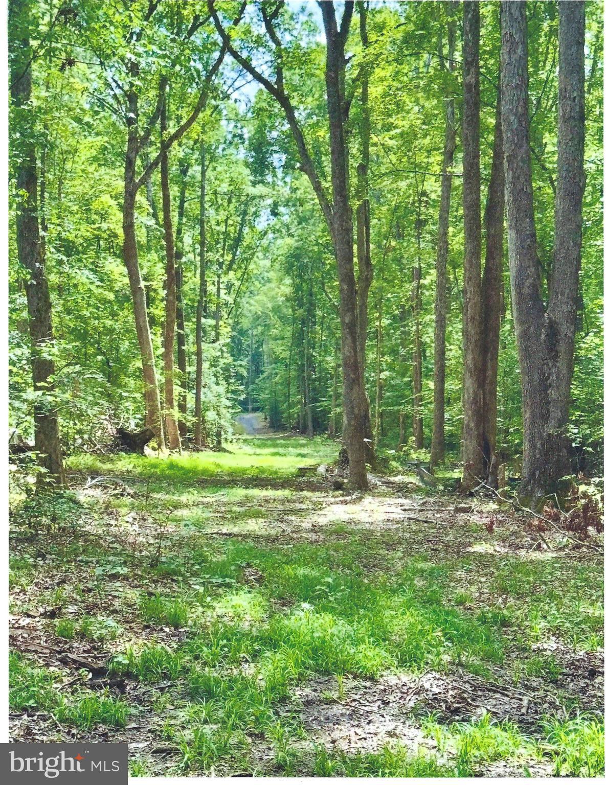 14409 SPOTSWOOD FURNACE ROAD