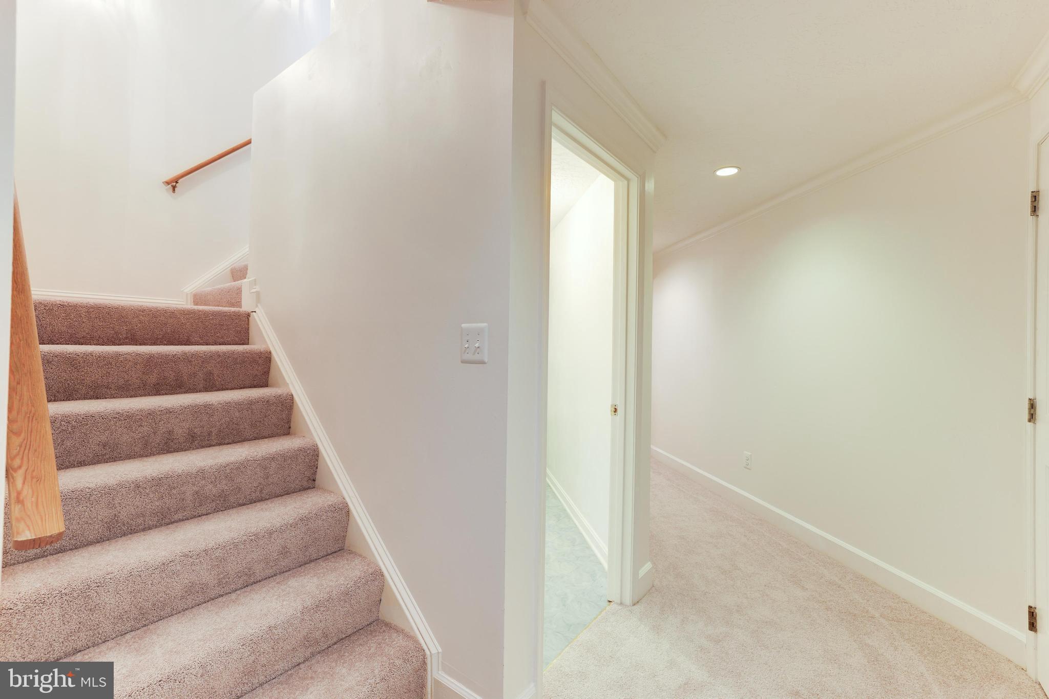 BURKE LAKE MEADOW - Residential