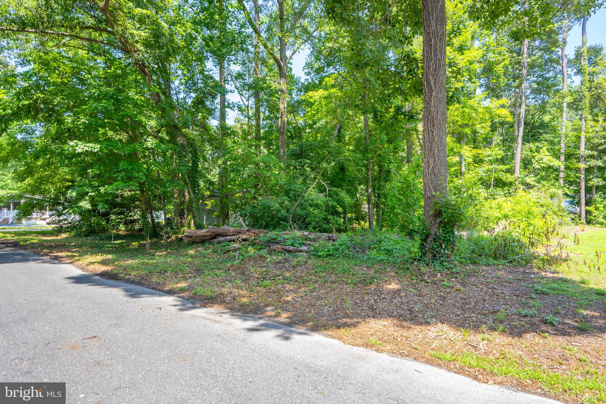 225 N LAKE DRIVE