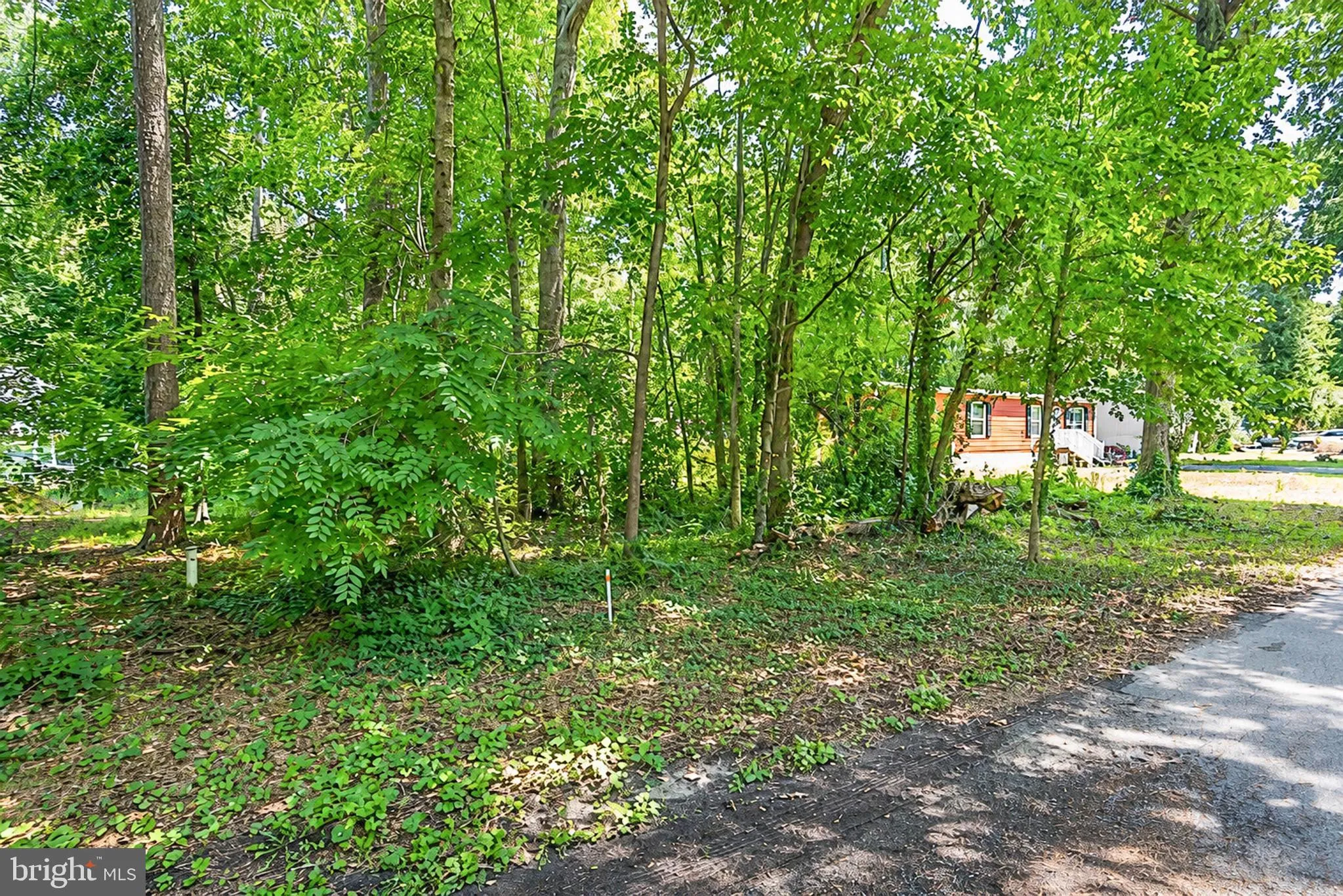 Additional image 20 of 225 N Lake Drive, Milton, DE 19968