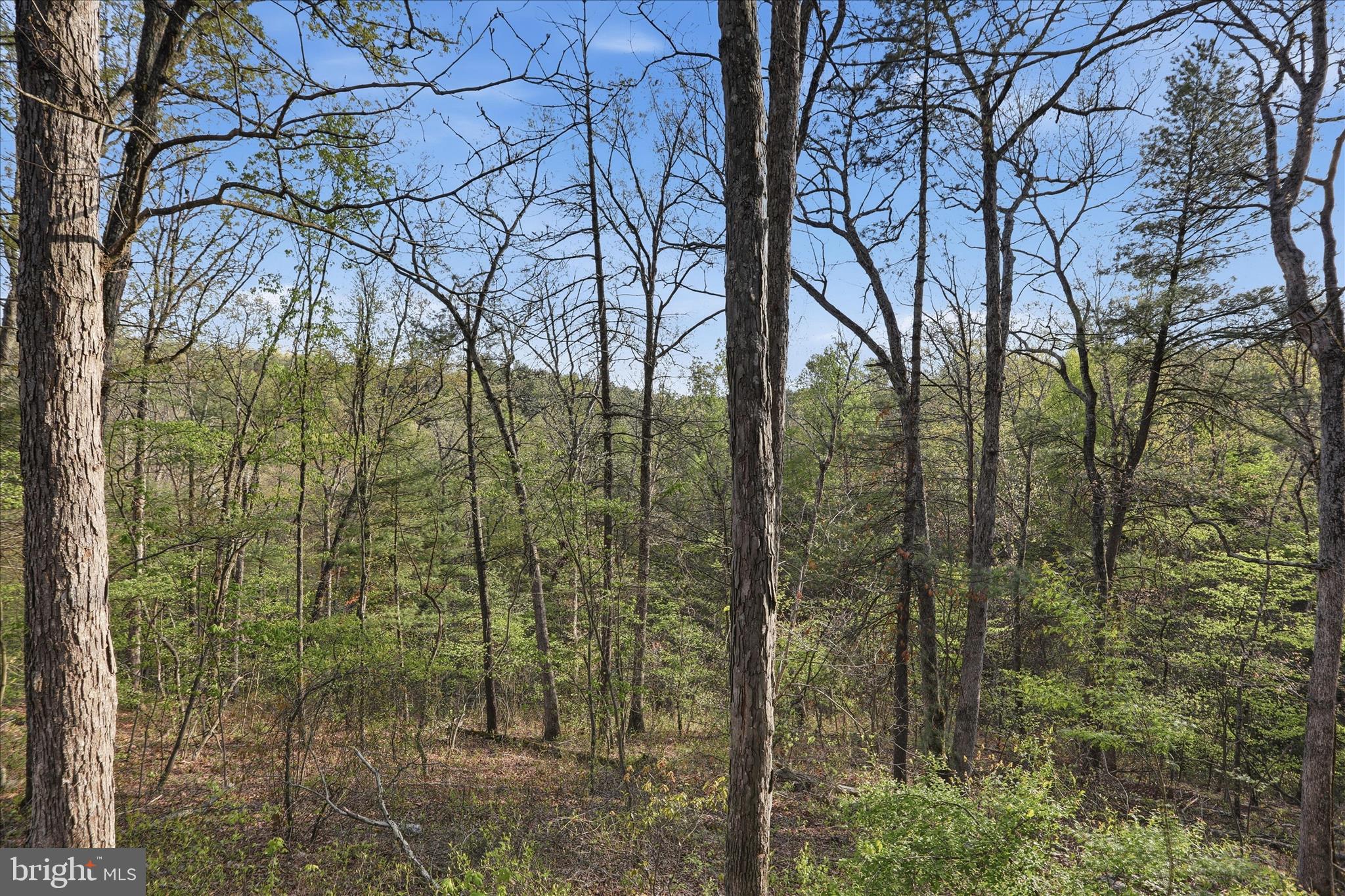 RIVER VIEW - Residential