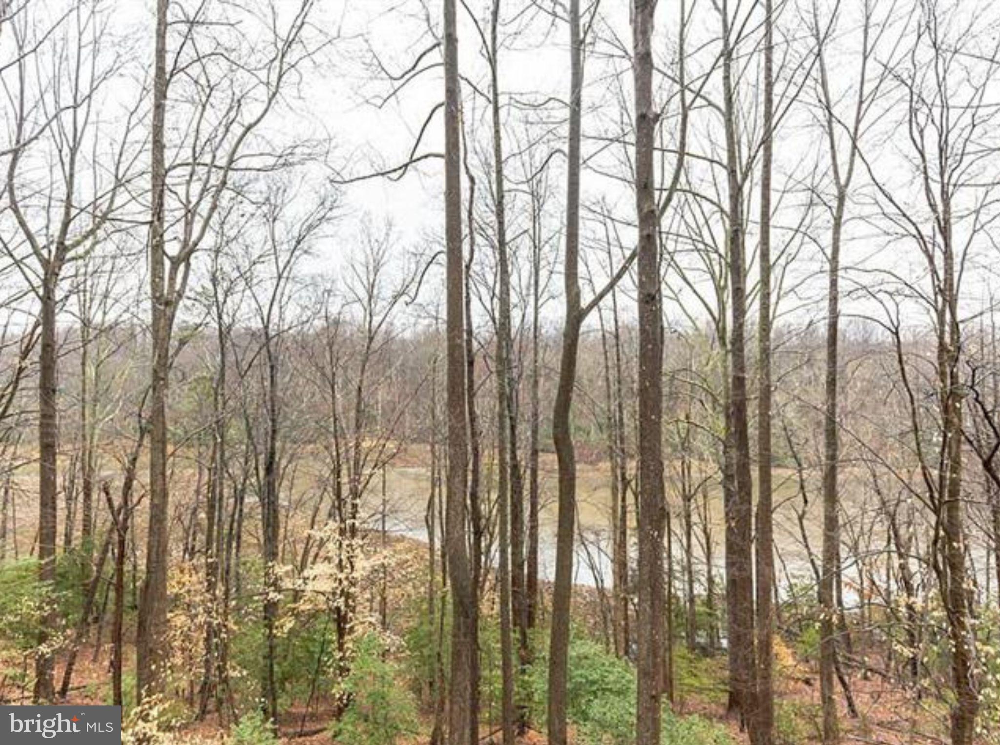 WHITE SANDS - Residential