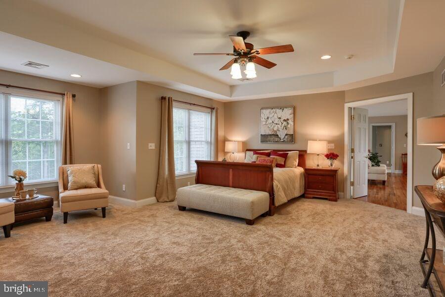 CLARENDON - Residential