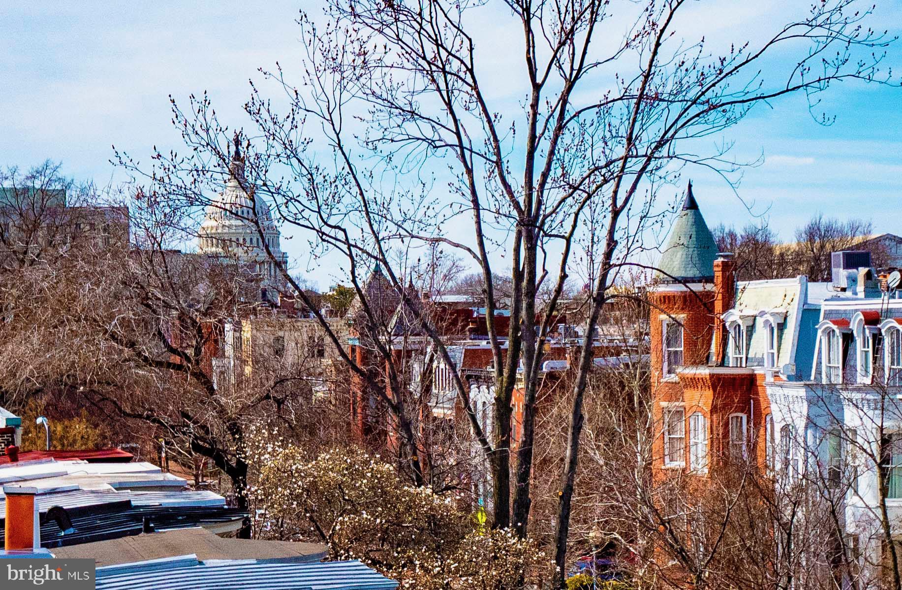 CAPITOL HILL - Residential