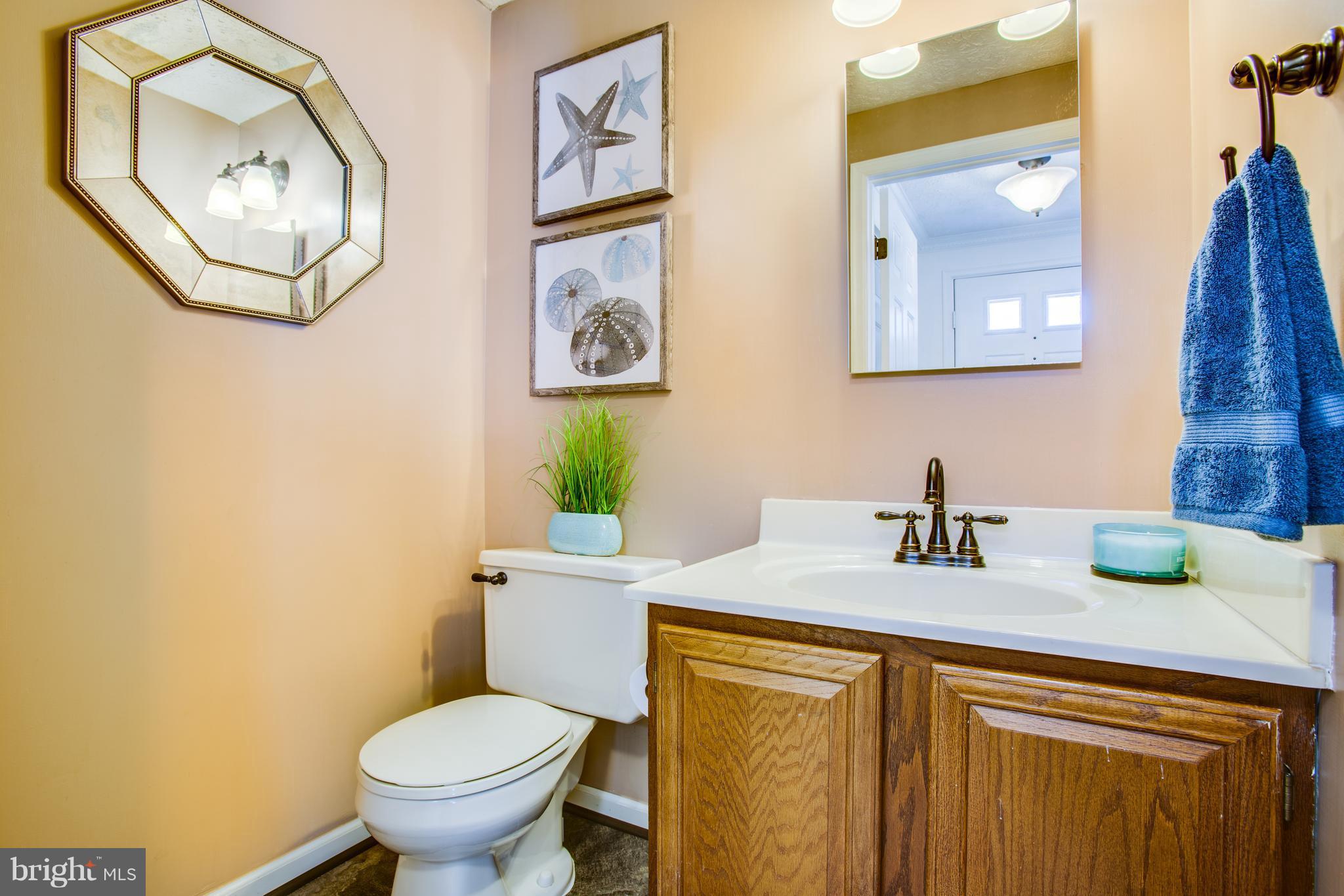 OLD BRIDGE ESTATES - Residential