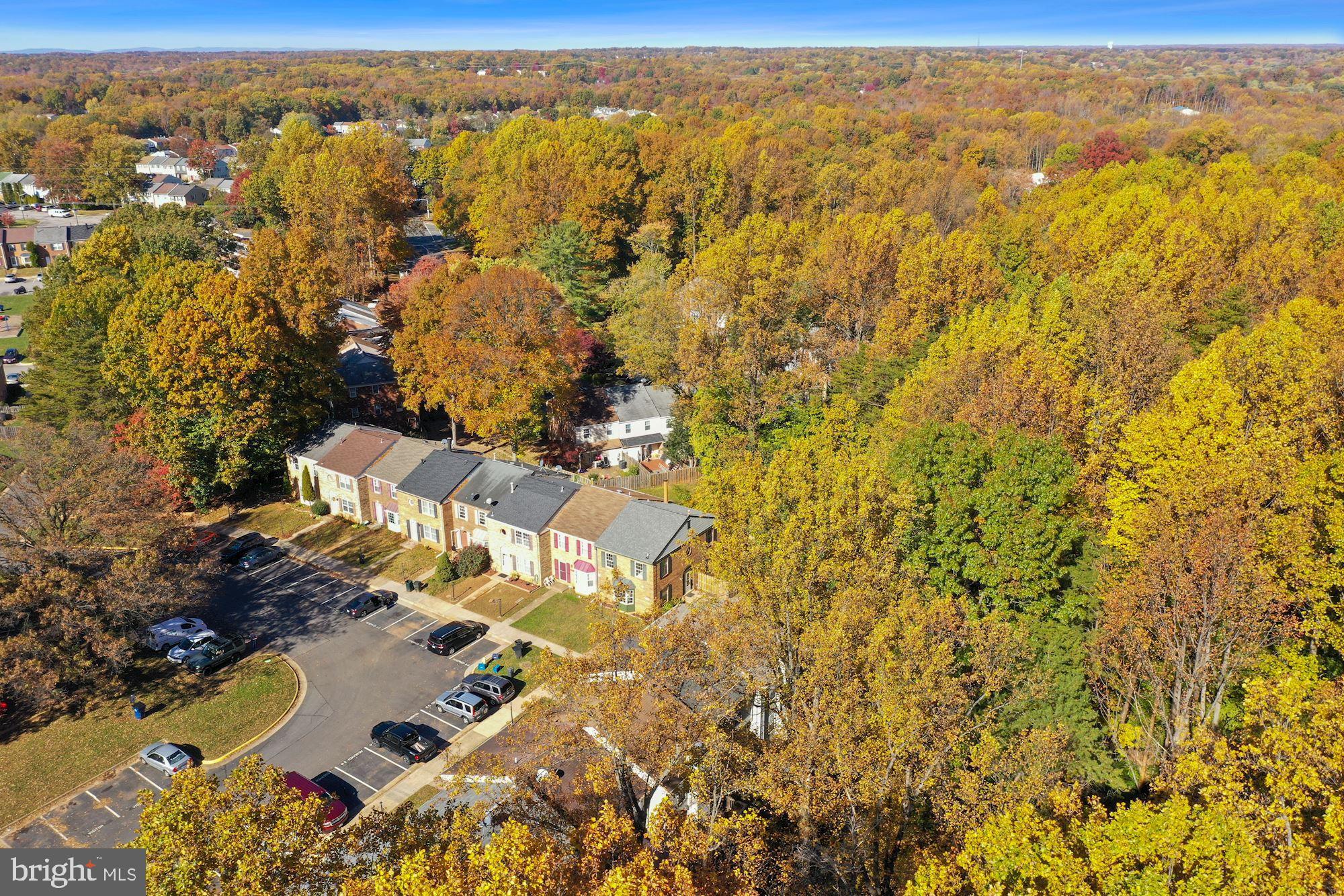 GEORGETOWN PARK - Residential