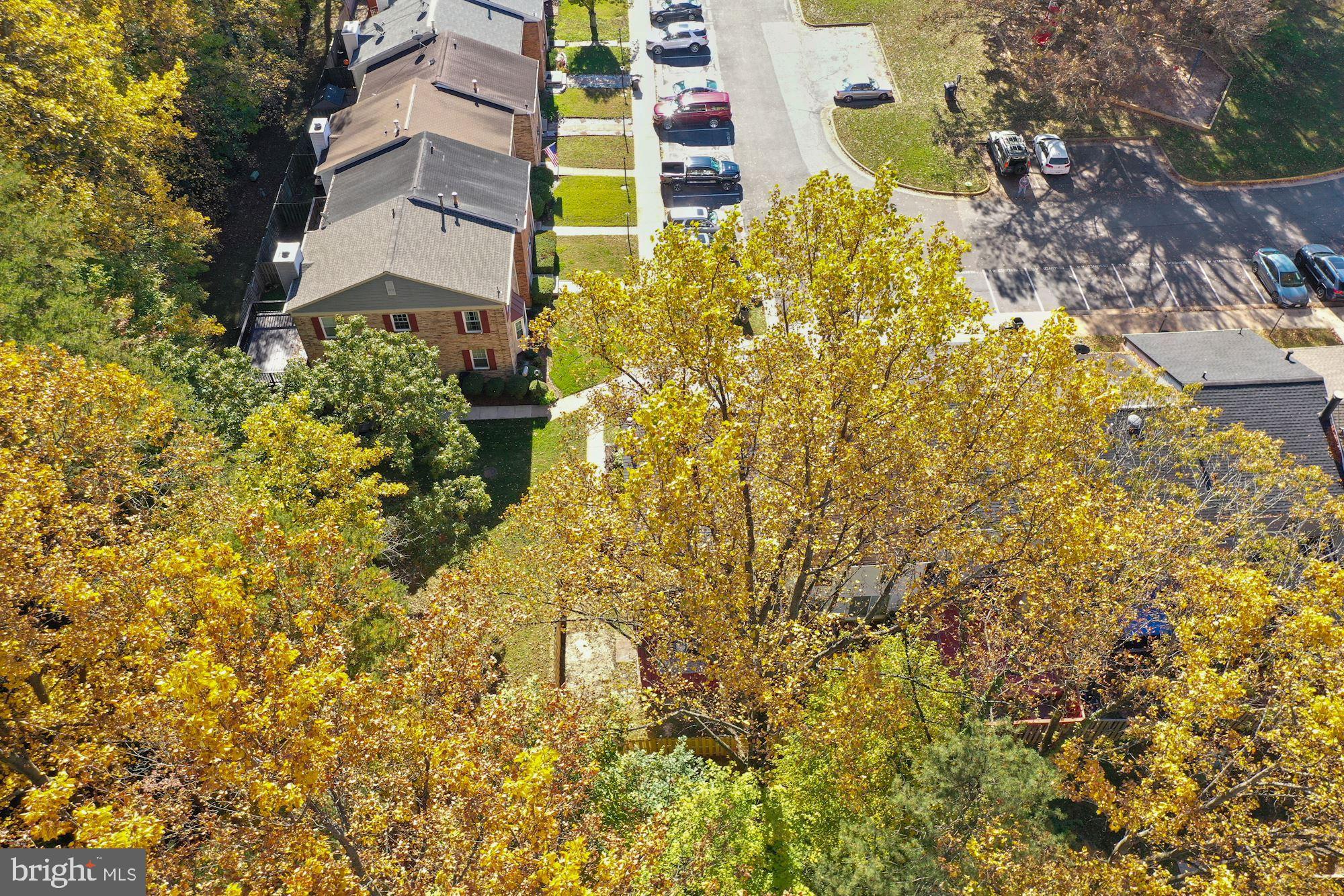 GEORGETOWN PARK - Residential