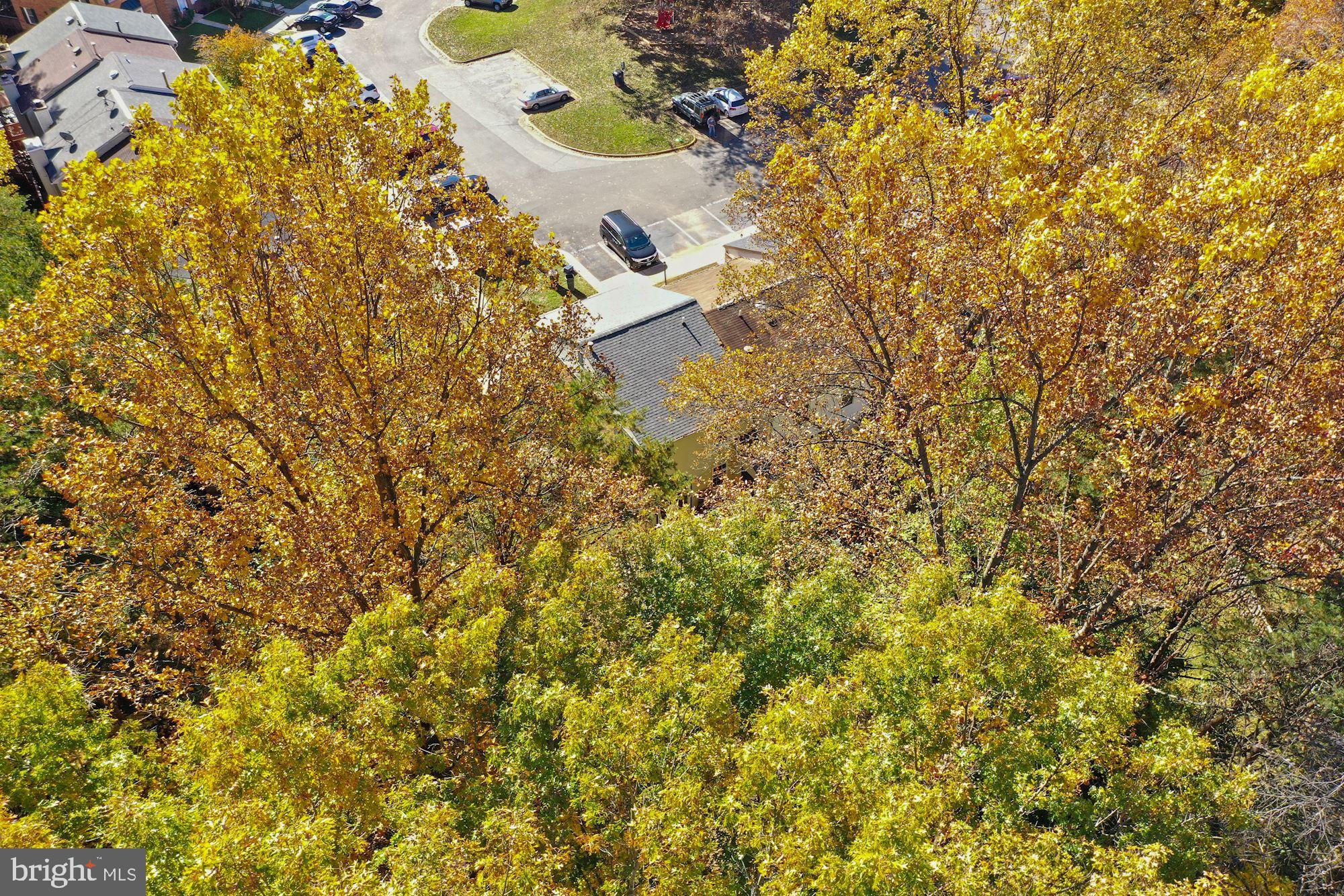 GEORGETOWN PARK - Residential