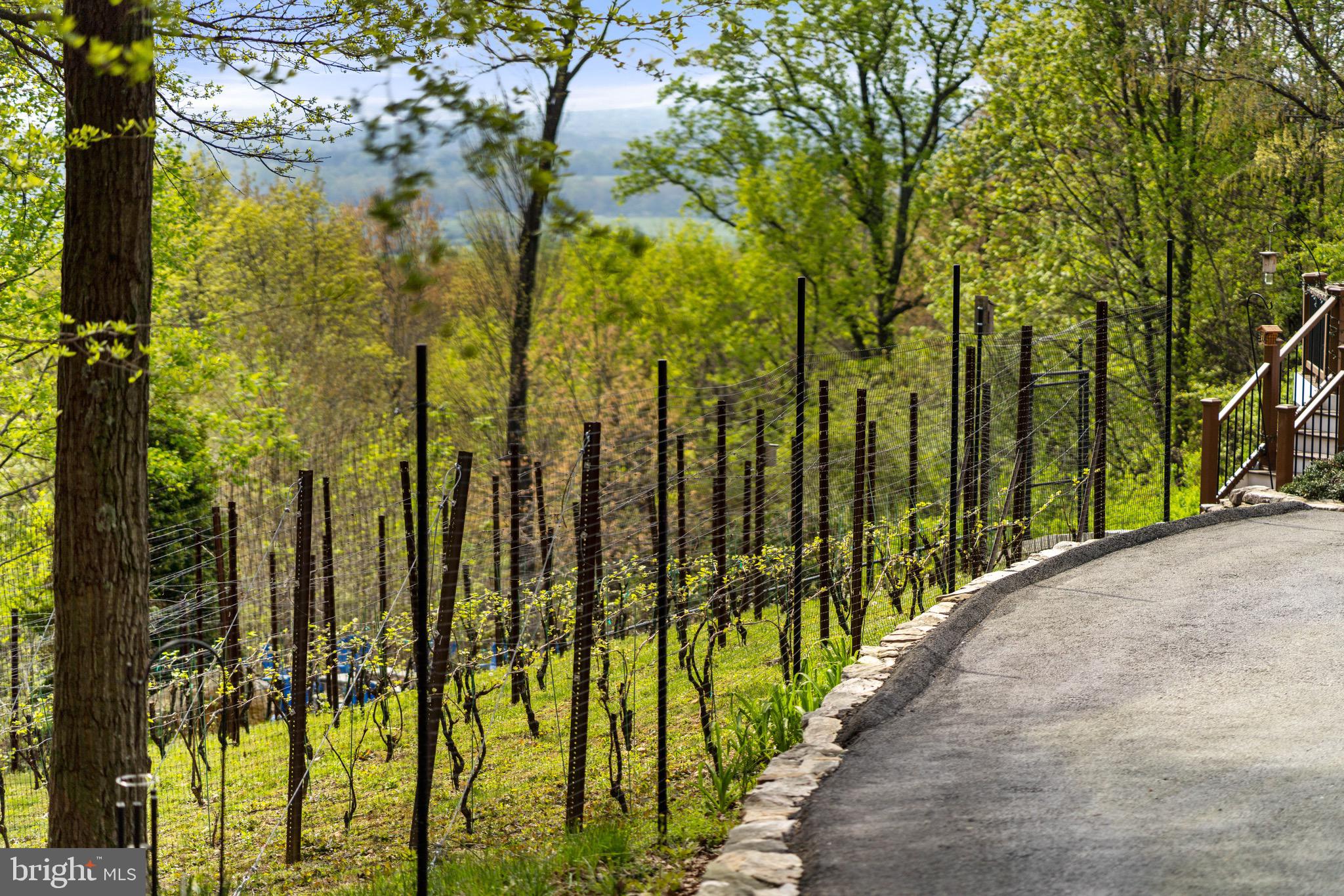 FOX WICKET - Residential