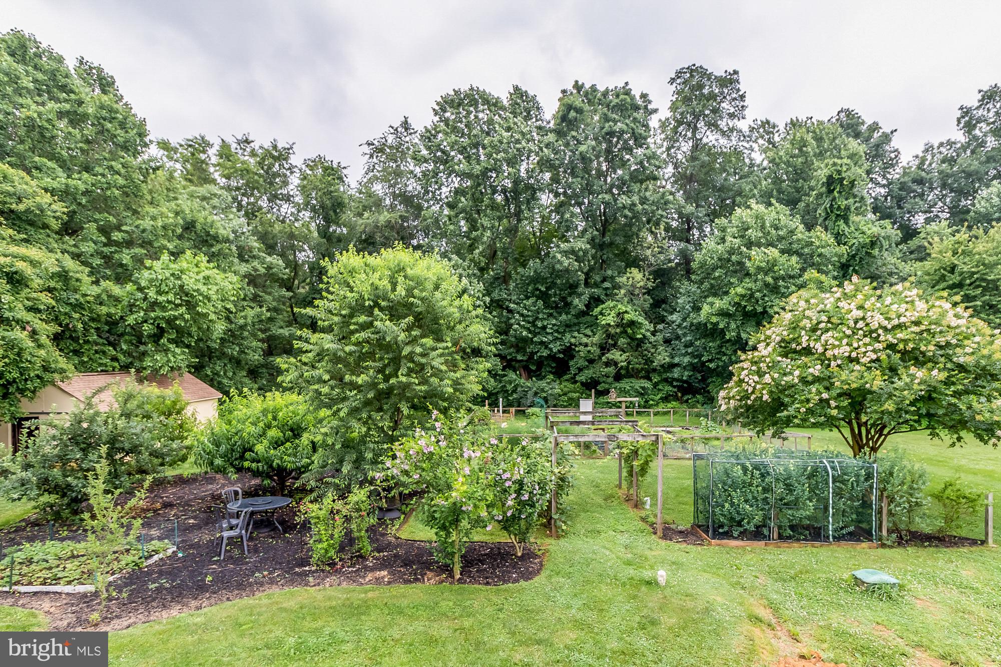 WELLINGBOROUGH - Residential