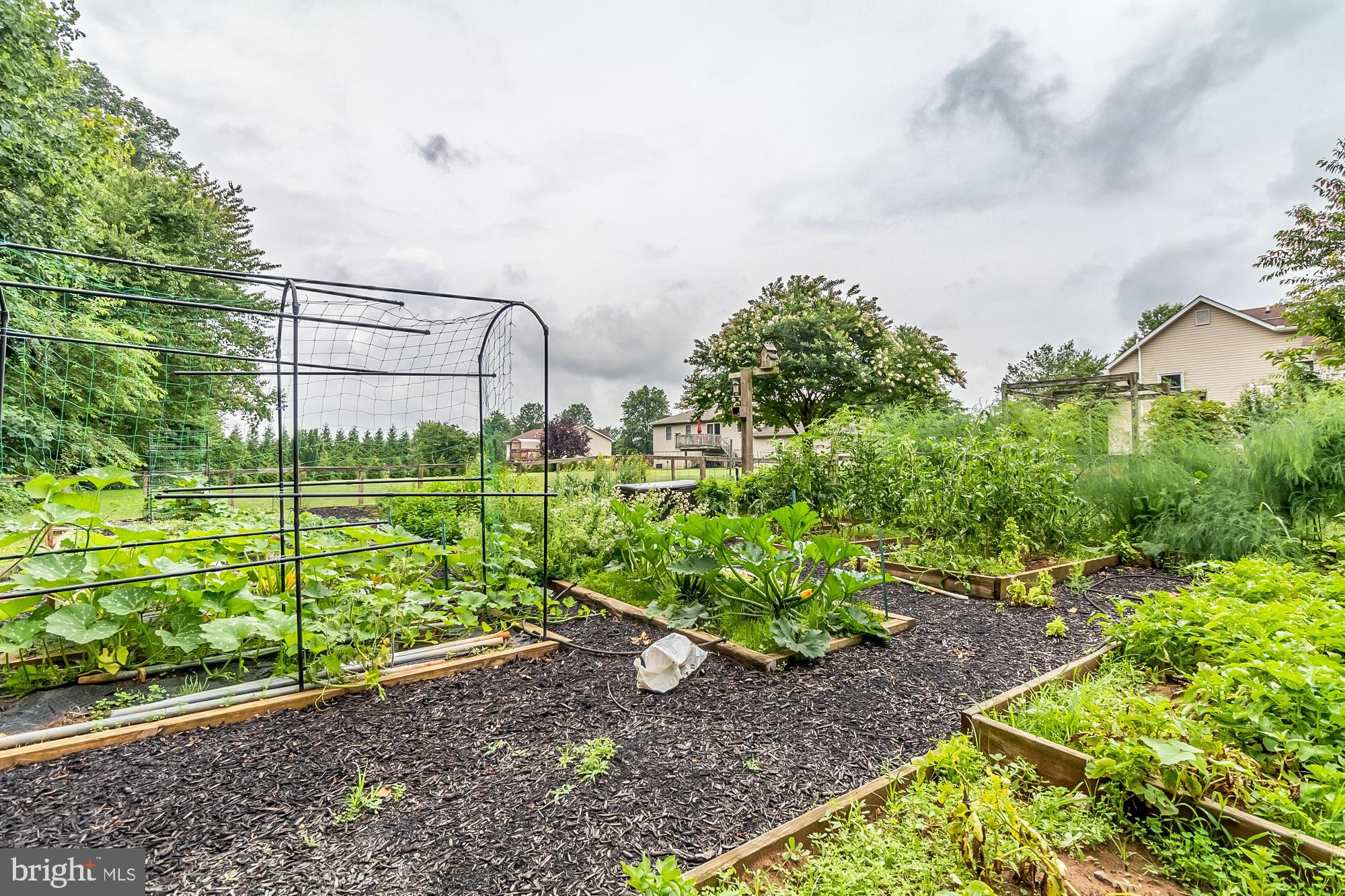 WELLINGBOROUGH - Residential