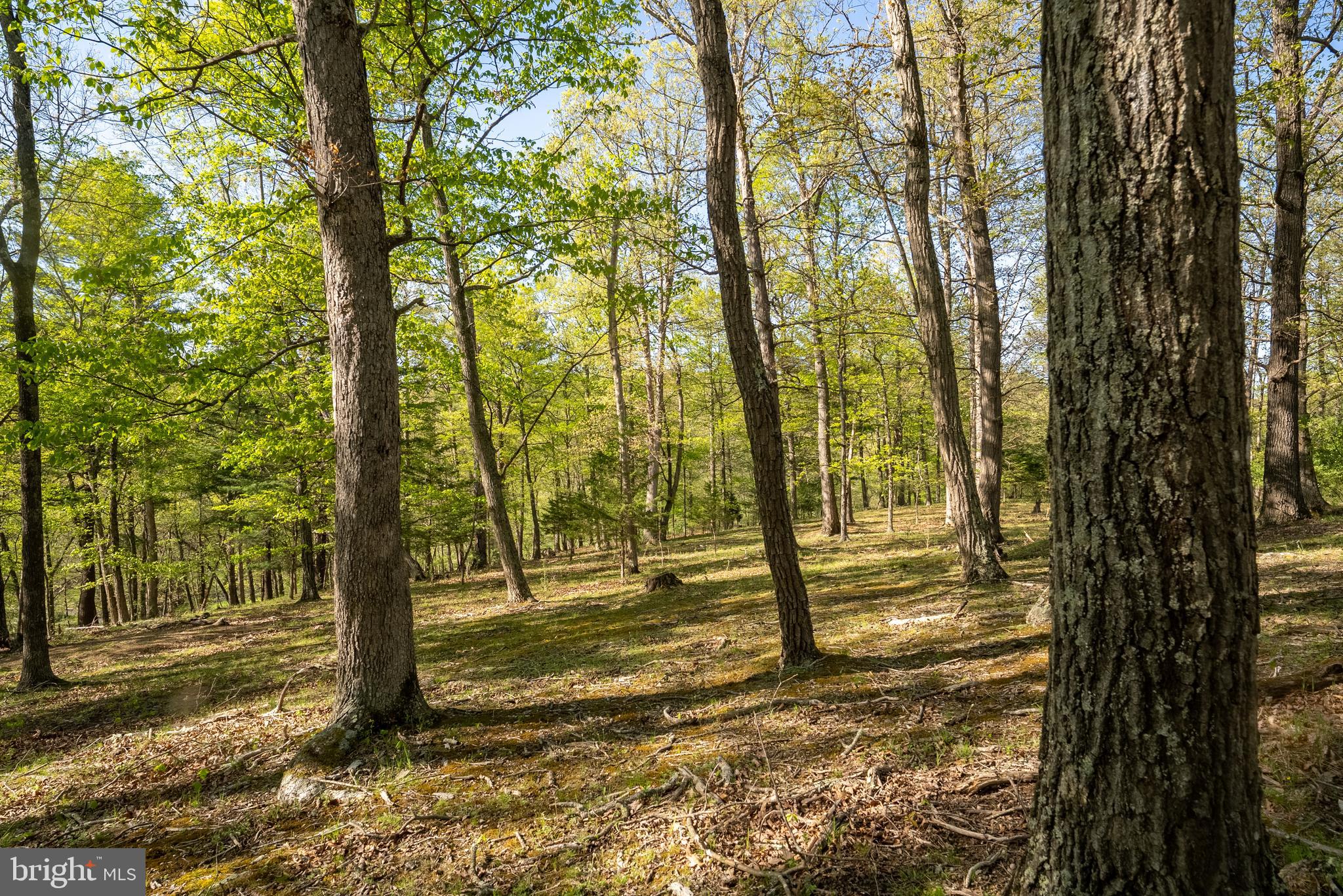 CRYSTAL VALLEY RANCHETTES - Residential