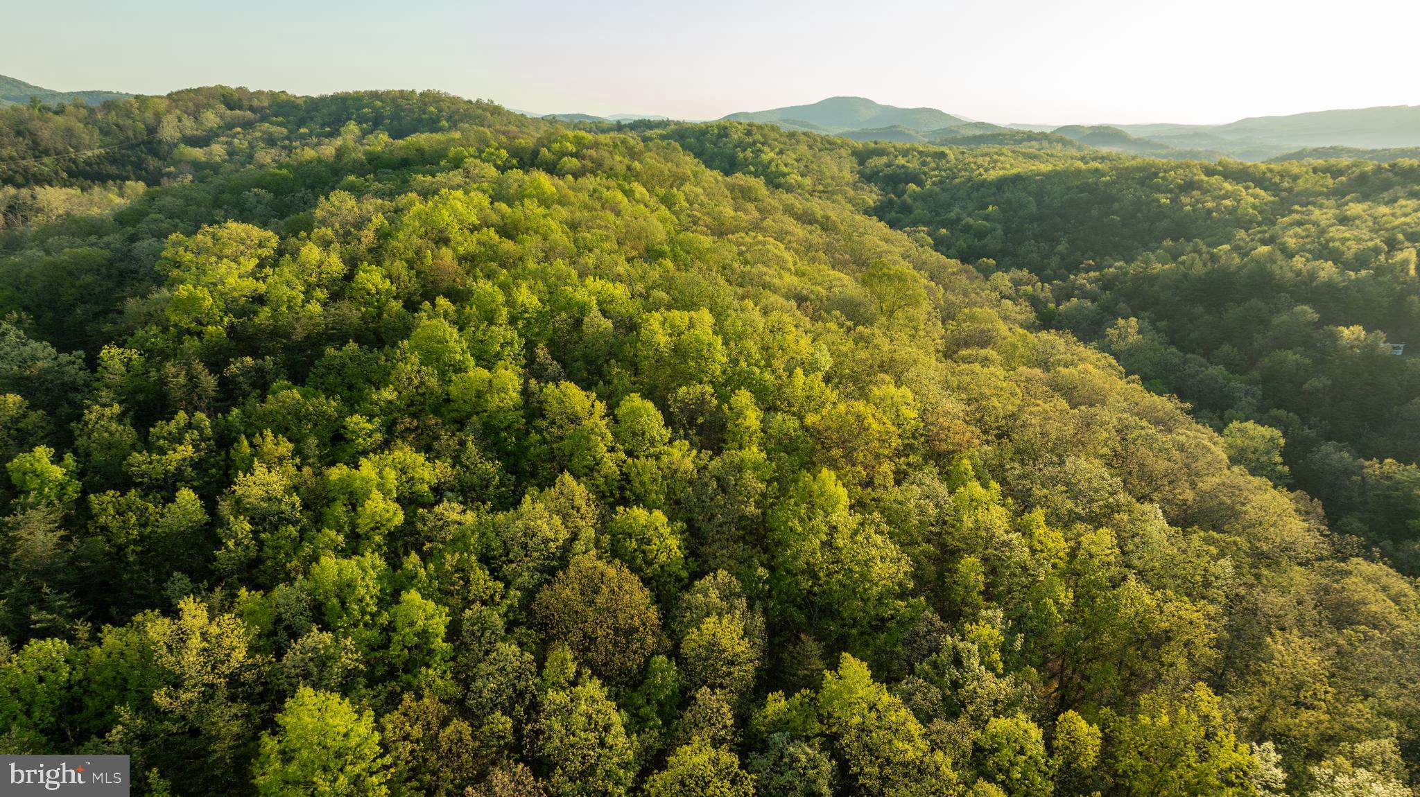 CRYSTAL VALLEY RANCHETTES - Residential