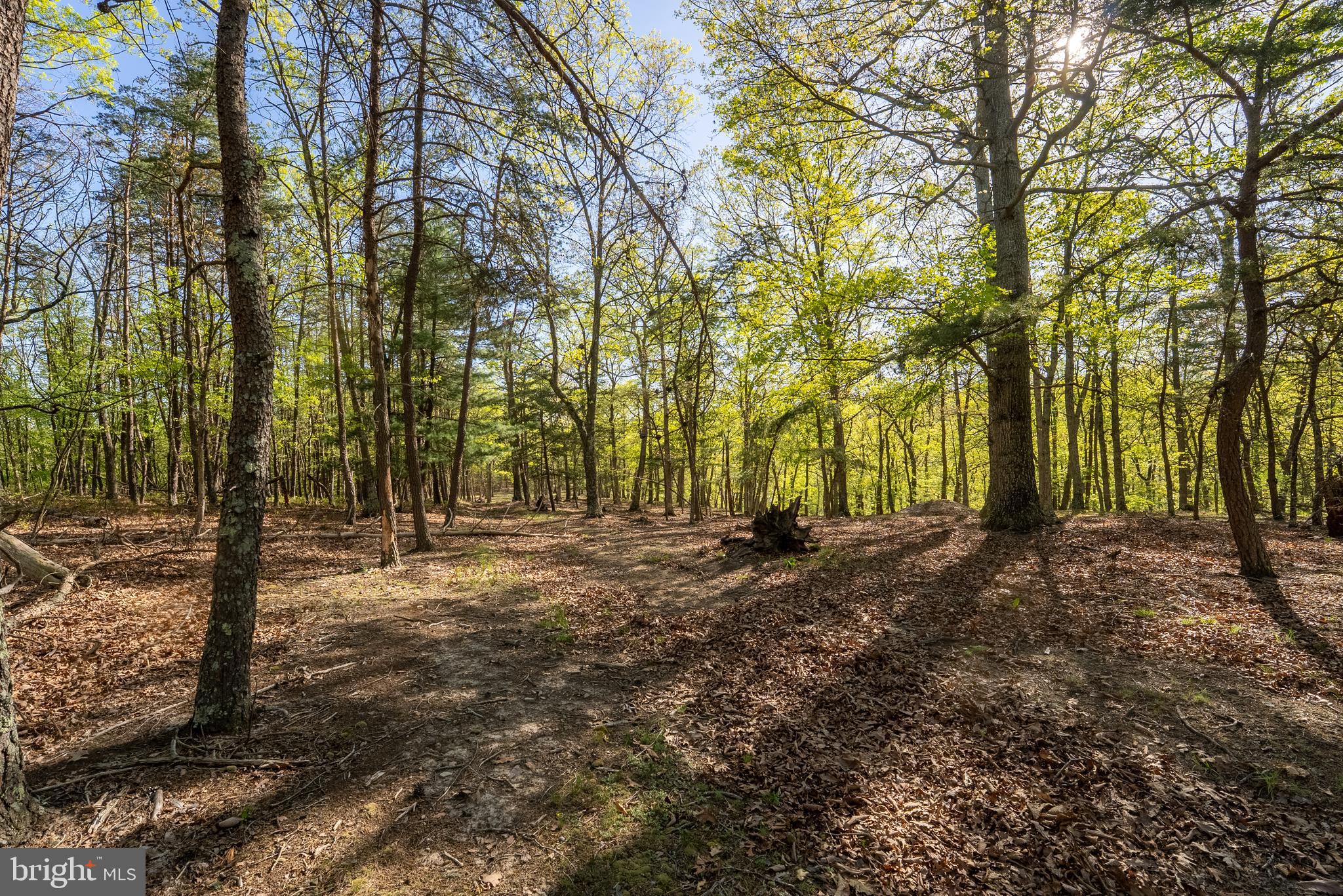 CRYSTAL VALLEY RANCHETTES - Residential