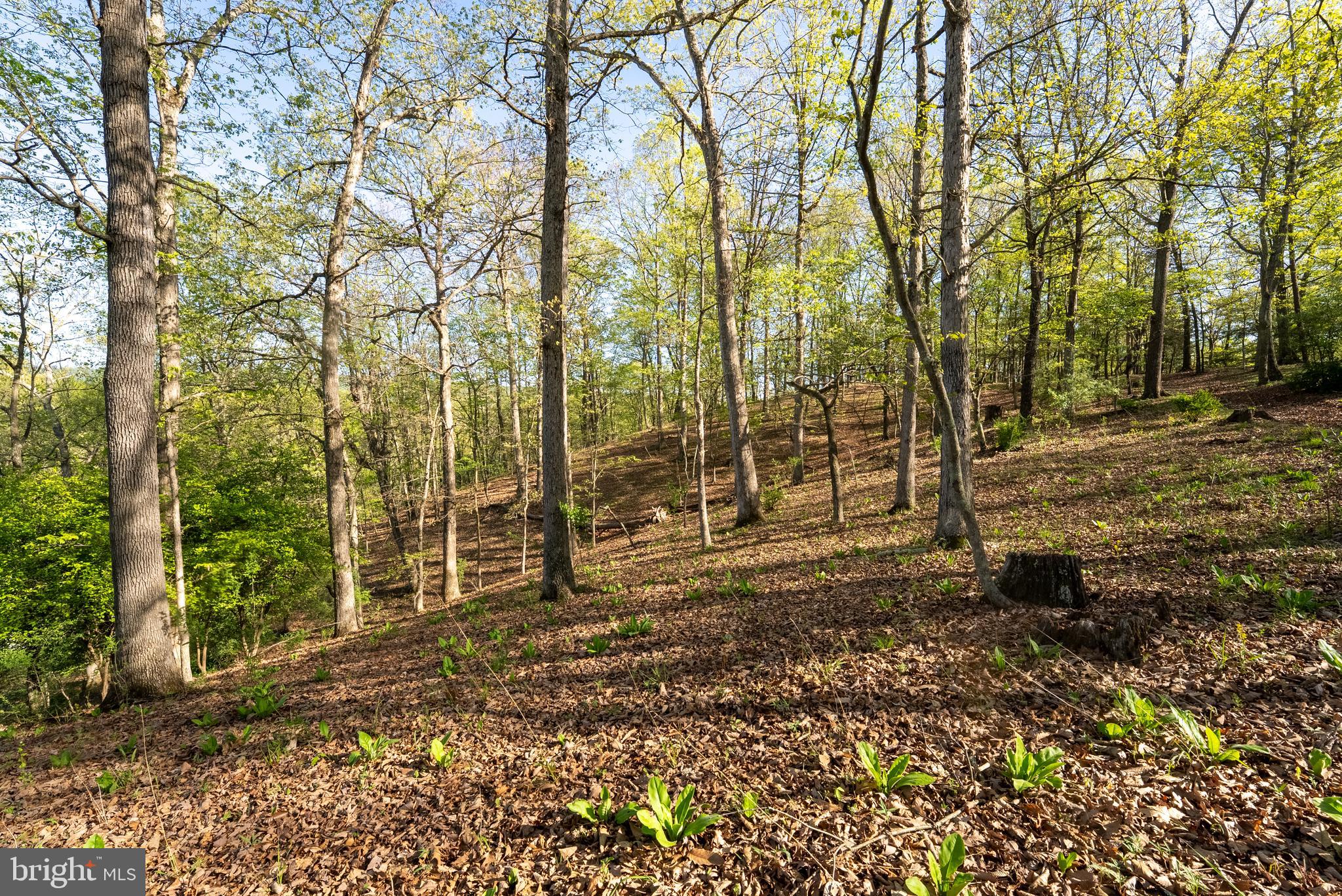 CRYSTAL VALLEY RANCHETTES - Residential