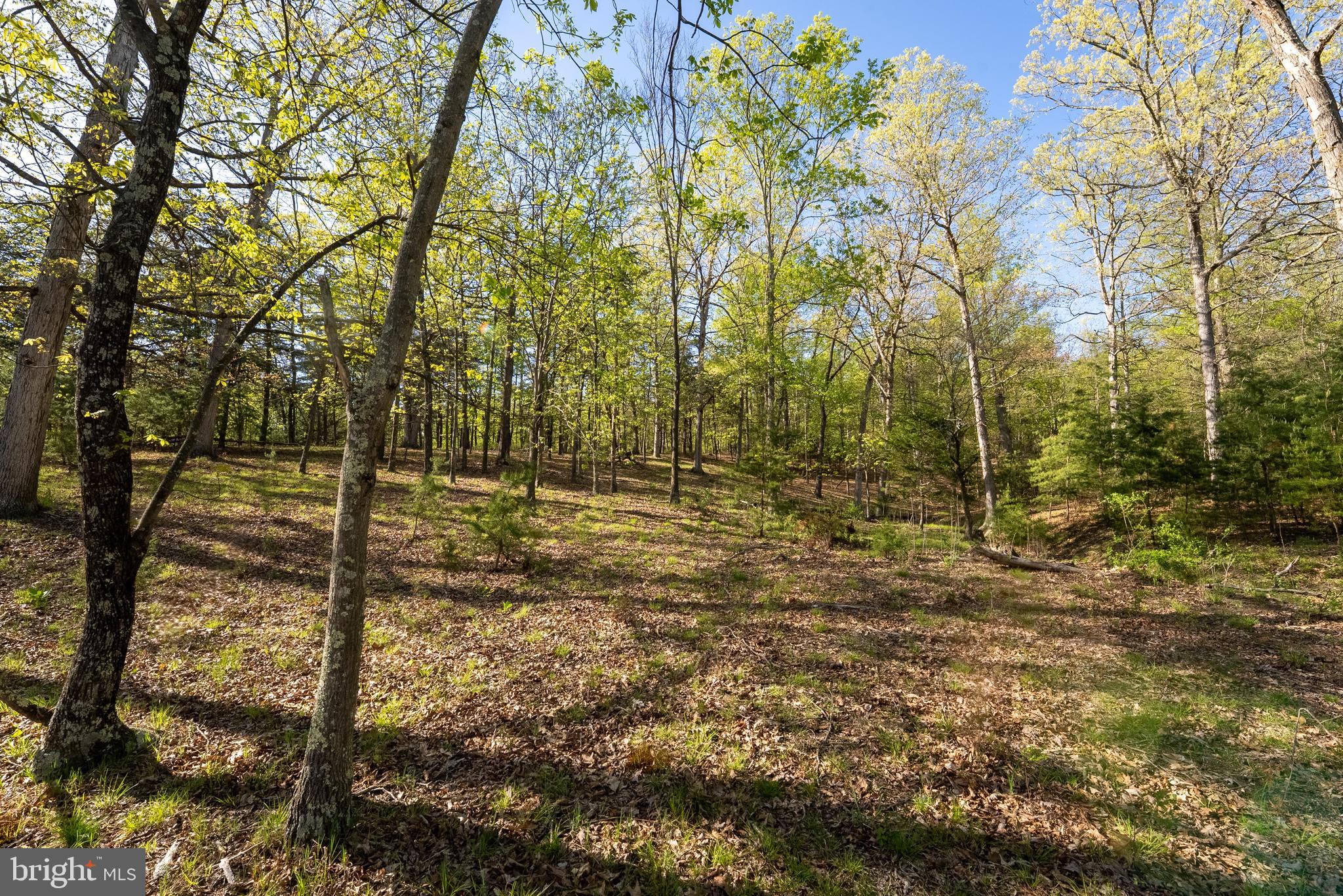 CRYSTAL VALLEY RANCHETTES - Residential