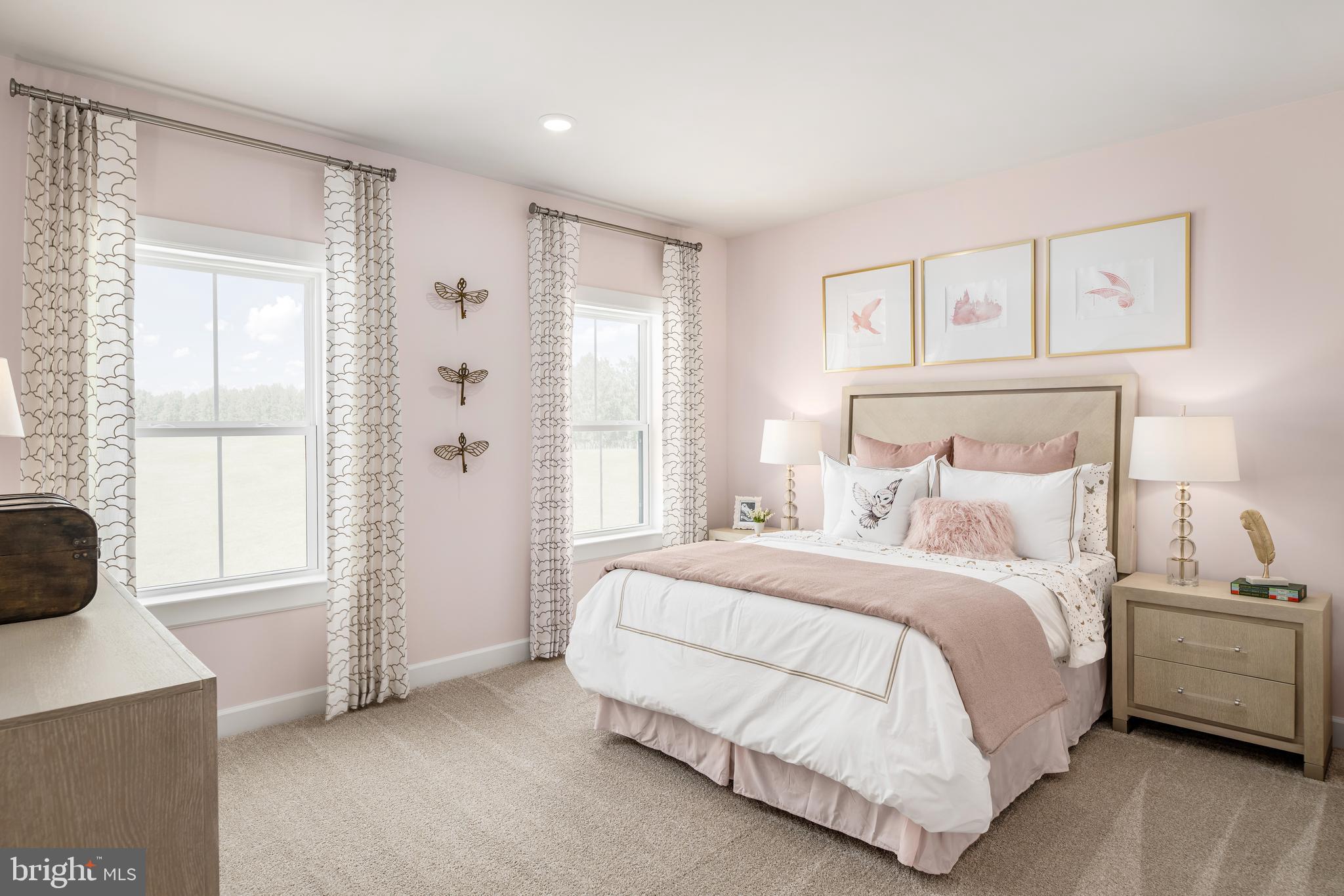 BRINTON LAKE ESTATES - Residential