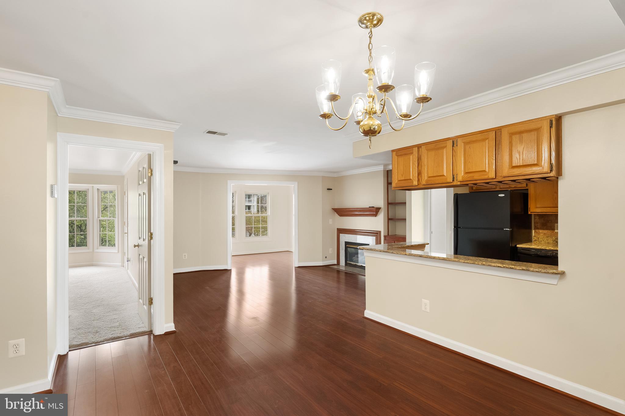 11021 FOLKSIE COURT 201