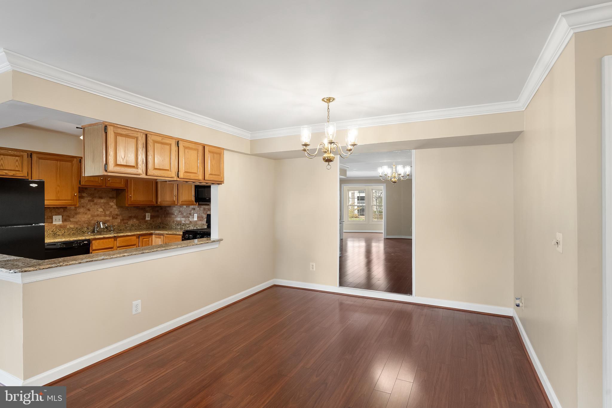 11021 FOLKSIE COURT 201