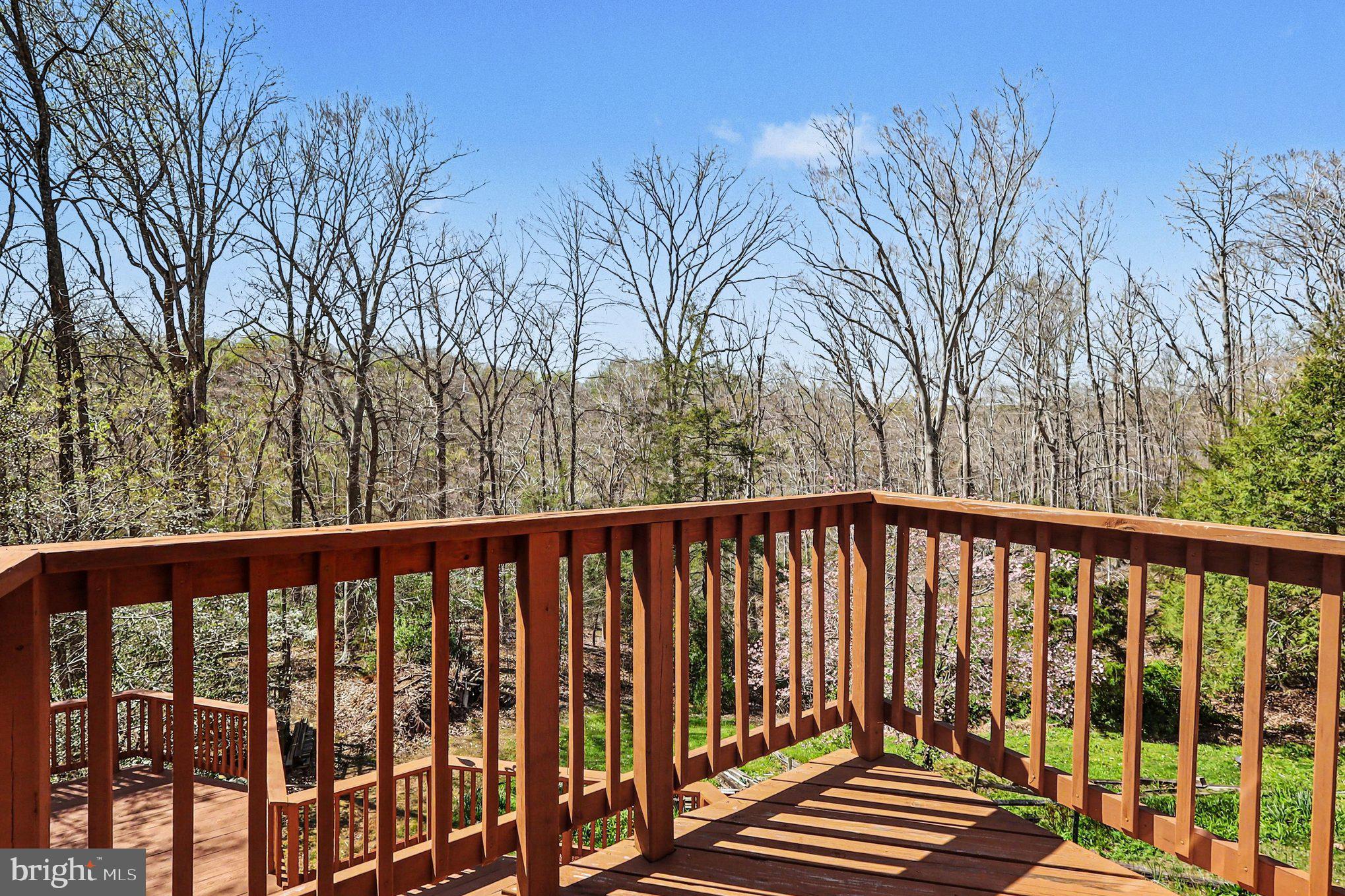 CATHEDRAL FOREST - Residential