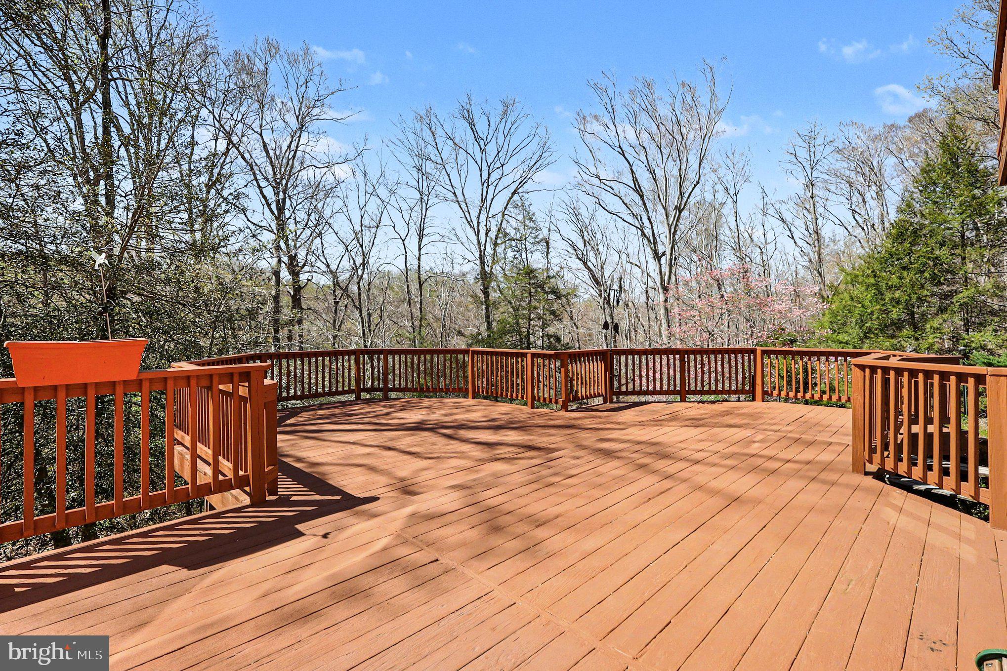 CATHEDRAL FOREST - Residential