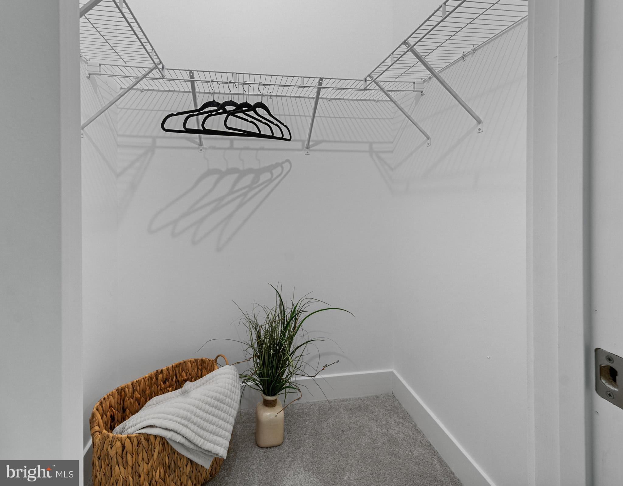 DRUM POINT - Residential