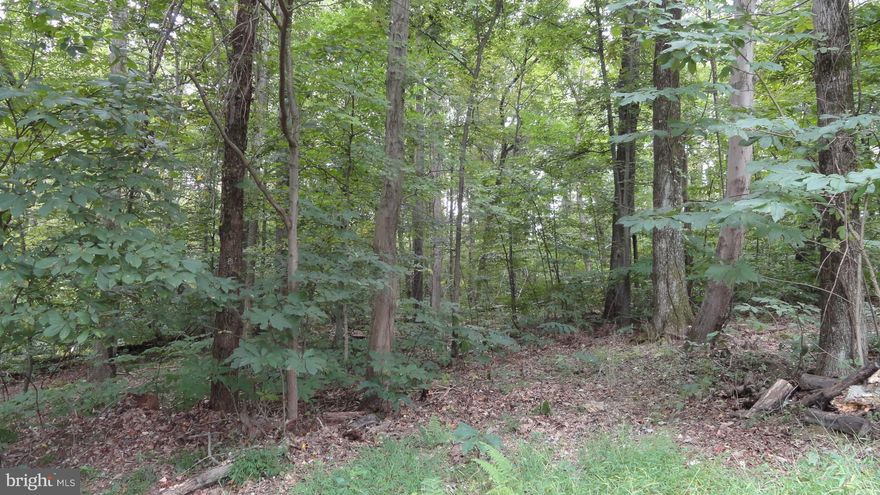 Private wooded lot with 3 BR perk (Drip Dispersal) and a Well site--See MLS docs for more info.  Close to Hiking Trails, Shenandoah River, Wineries and more!  Deeded River access.  Lot size is approx but includes lots 41 & 42 .  Possibly sub-divide and build 2 houses?? But, needs to be verified.  COMCAST INTERNET