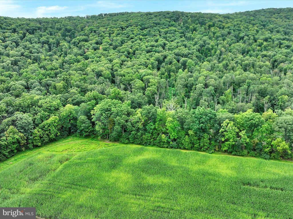 Photo of Summit Branch Railroad, ELIZABETHVILLE, PA 17023 (MLS # PADA2050768)