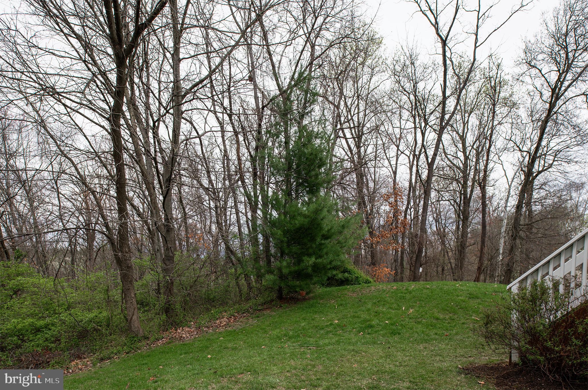 OLD DOMINION VALLEY - Residential