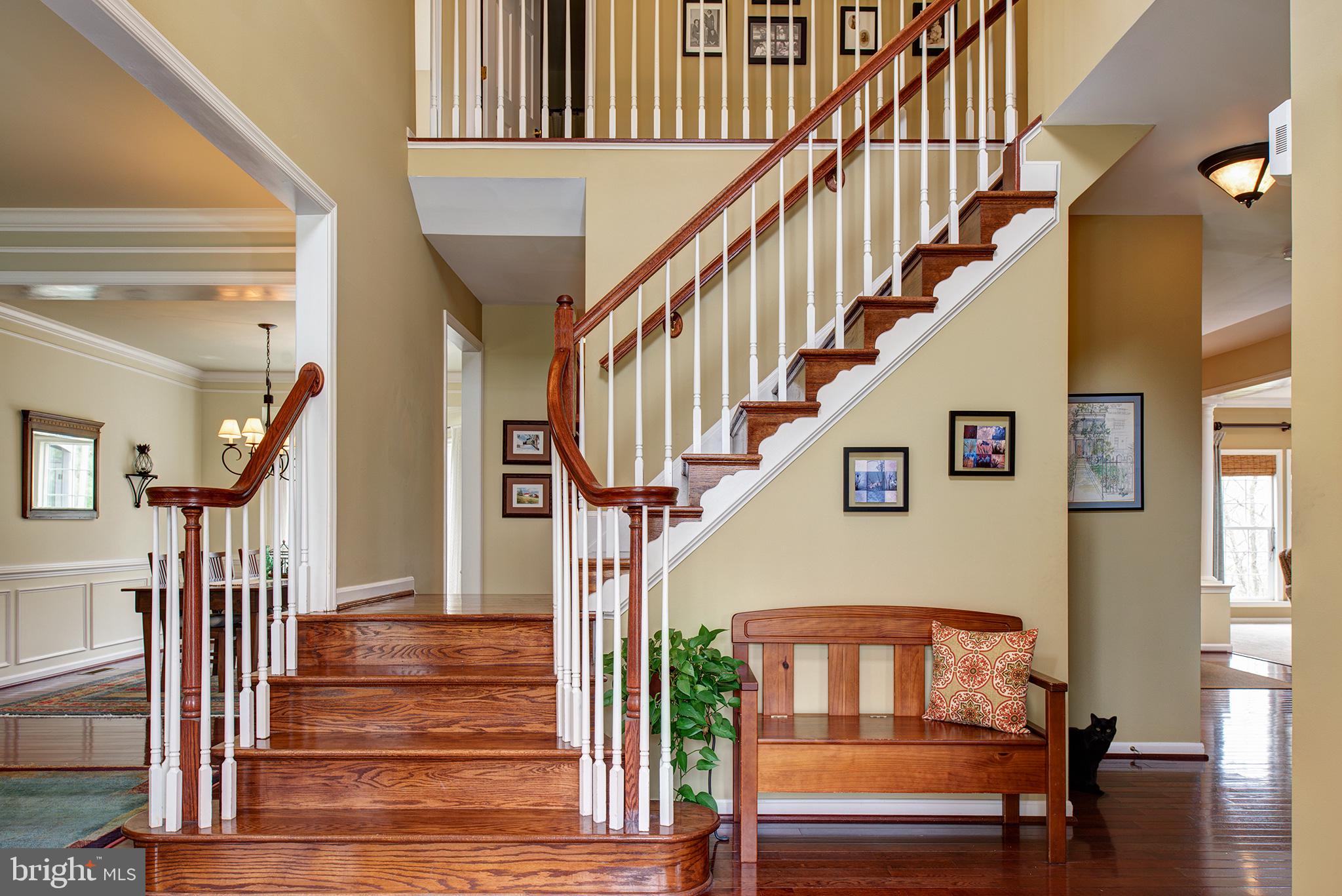 OLD DOMINION VALLEY - Residential