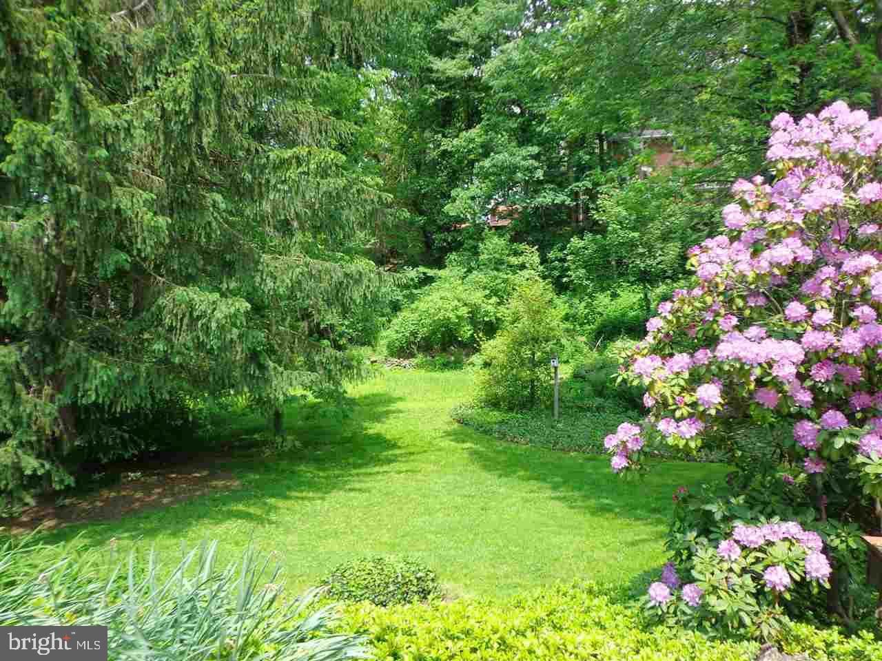 HAINES ACRES - Residential