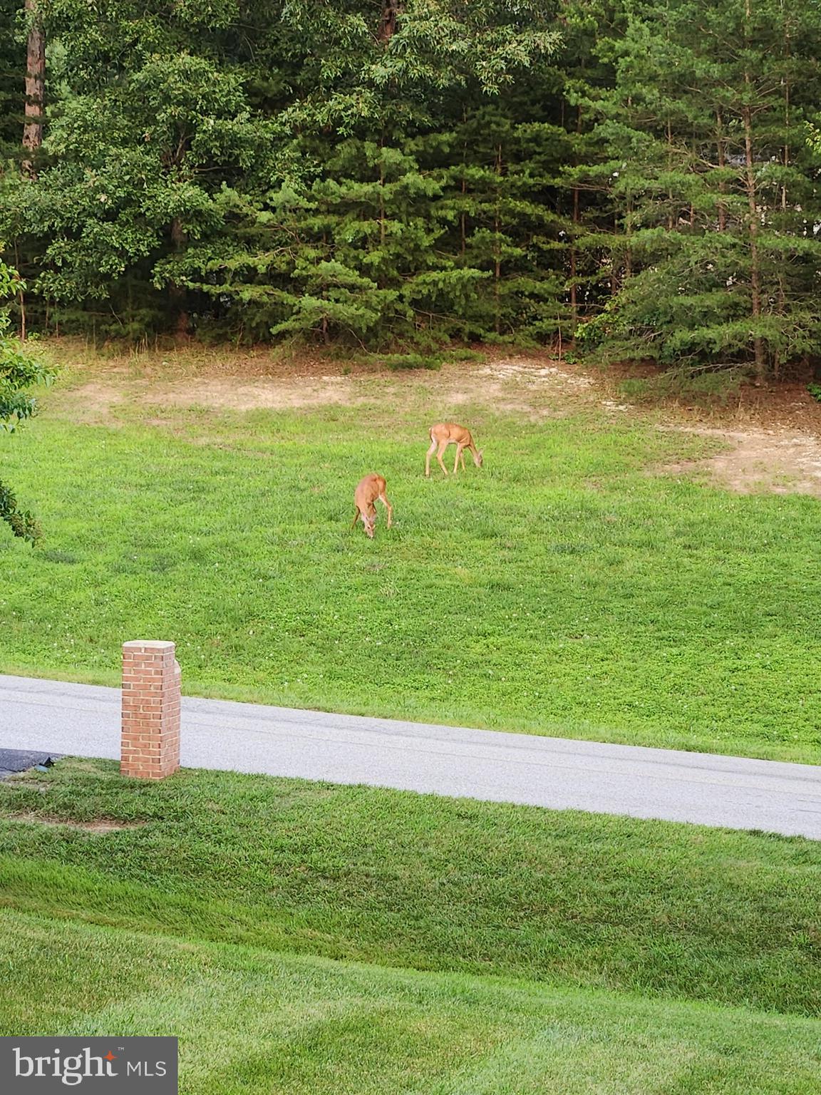 NEWTON MANOR - Residential