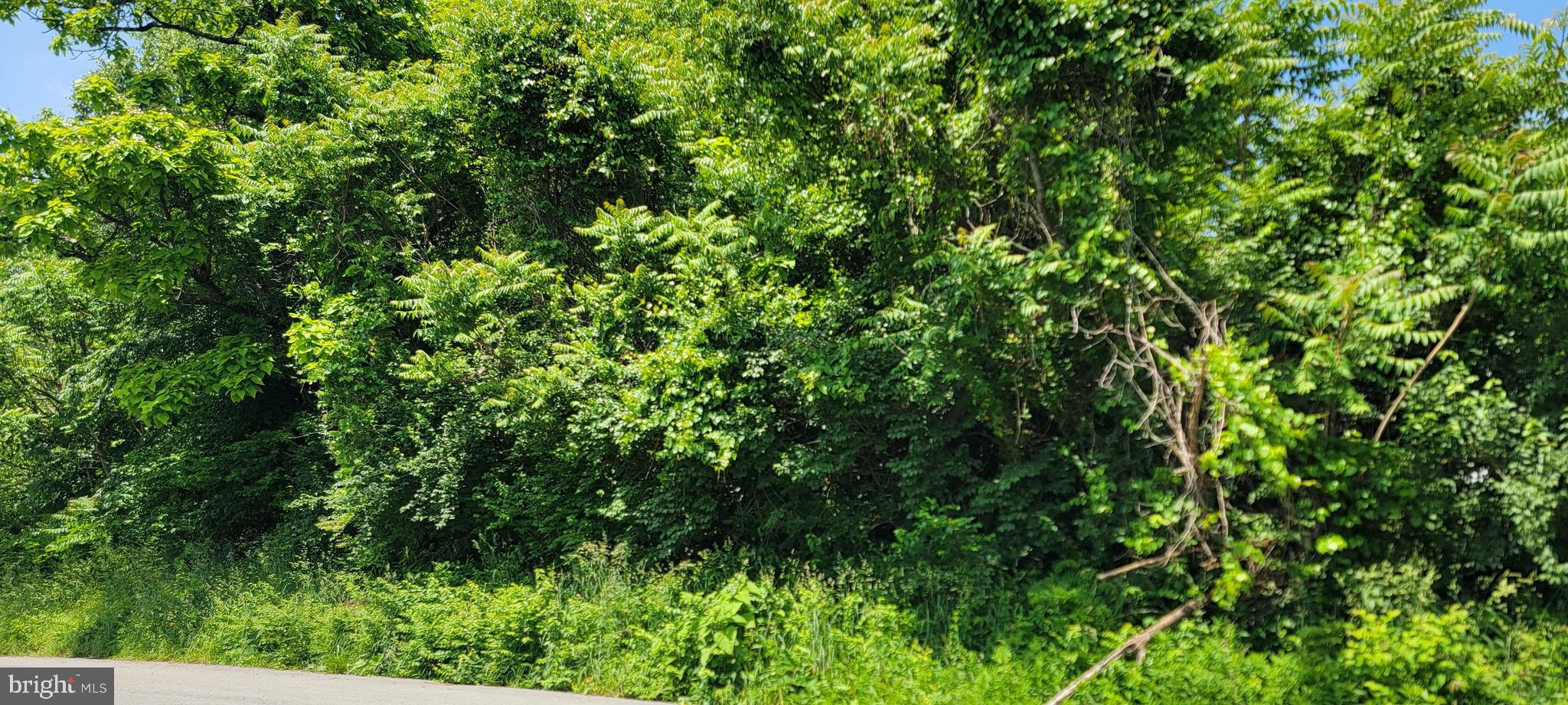 LORENTZ AVENUE PARCEL 314