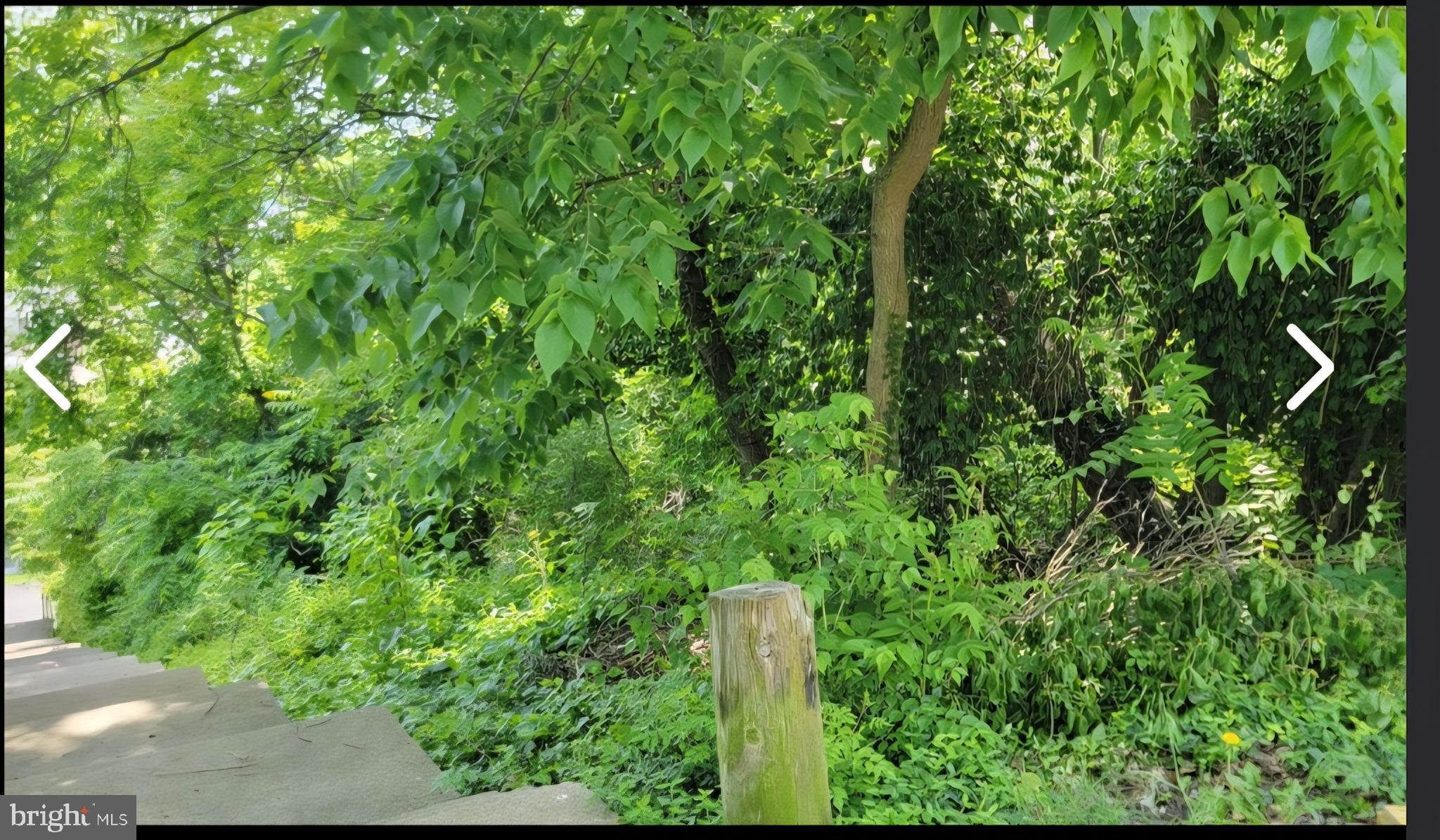 LORENTZ AVENUE PARCEL 314