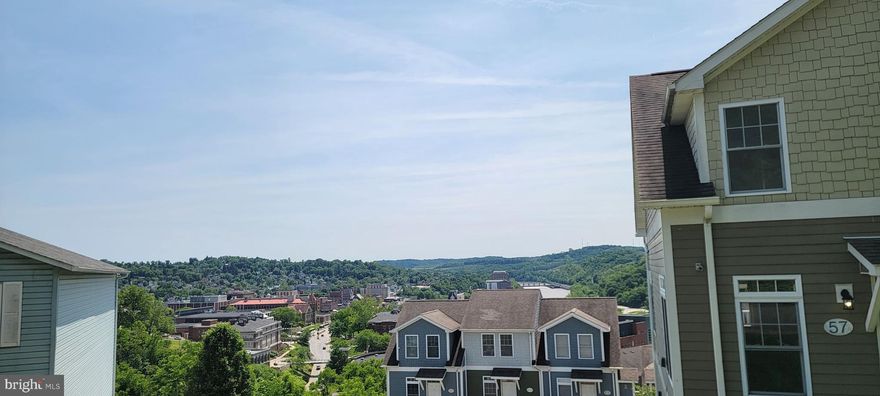 AUCTION< DISREGUARD PRICE! 314 Lorentz Ave Morgantown.  Also has frontage on Duquesne.  Approx 40 foot of frontage on Lorentz and nearly 90 ft deep.  May show on some maps as BL U, Lot 8 Acme Drive.  Wooded and uncleared lot waiting for development. Not many lots left in this part of town, close to the main attractions in Morgantown.