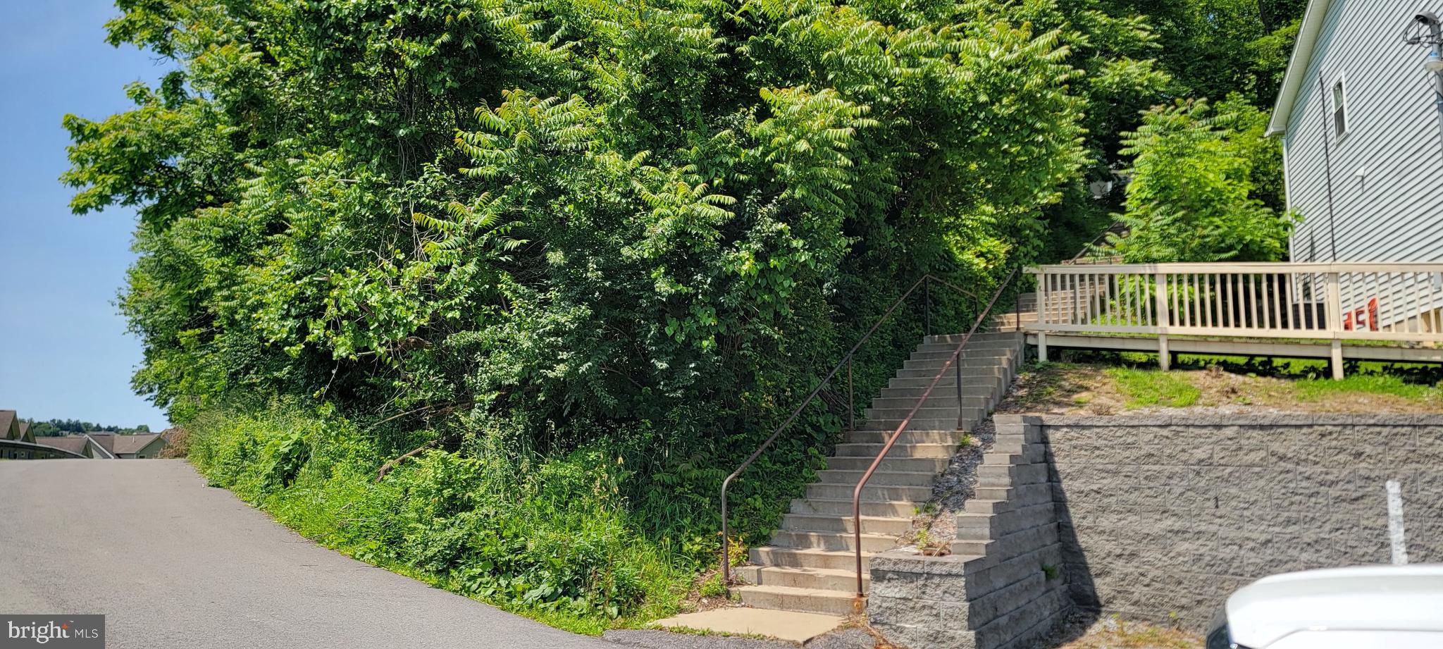 LORENTZ AVENUE PARCEL 314